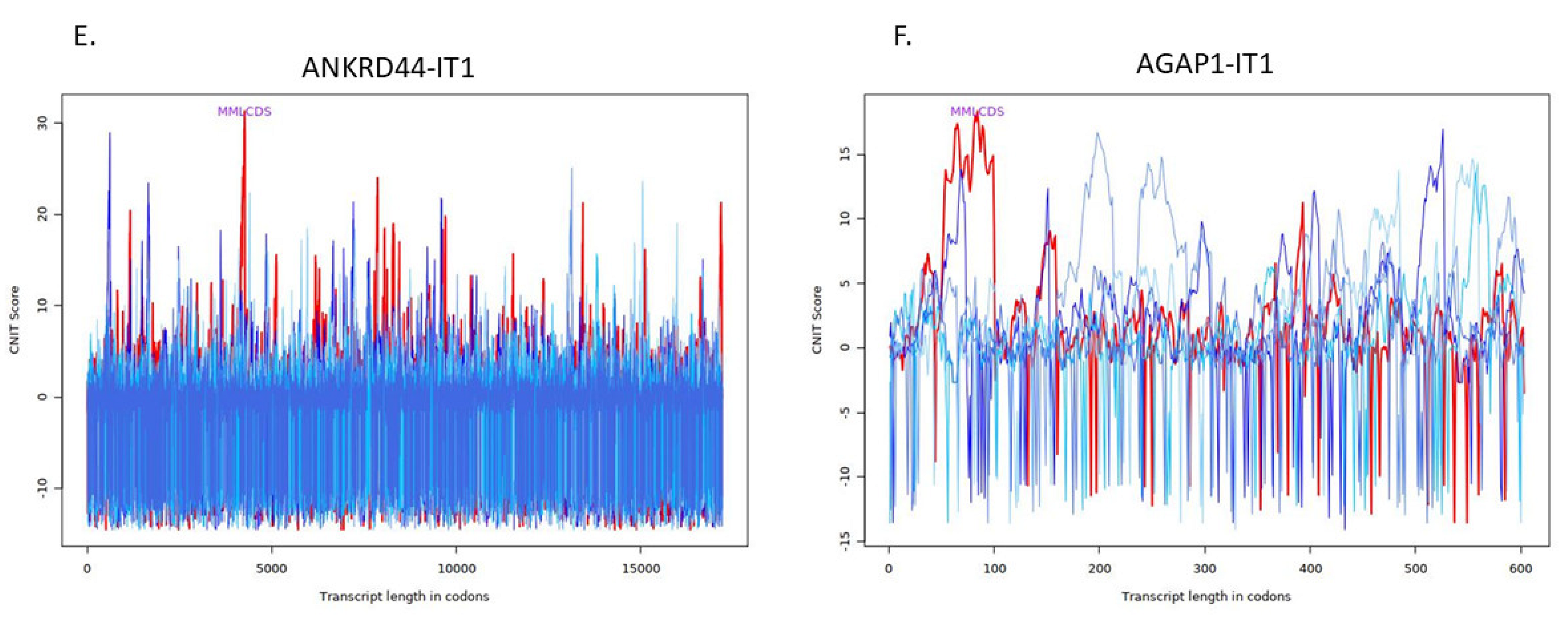 Ncrna 08 00073 g002c Ncrna 08 00073 g002c