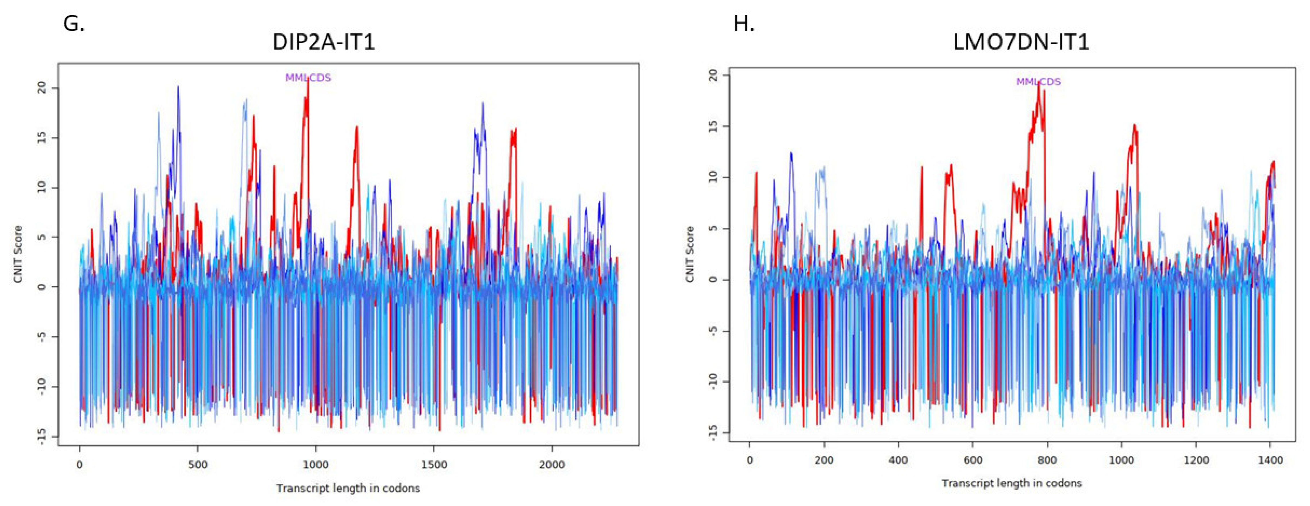 Ncrna 08 00073 g002d Ncrna 08 00073 g002d