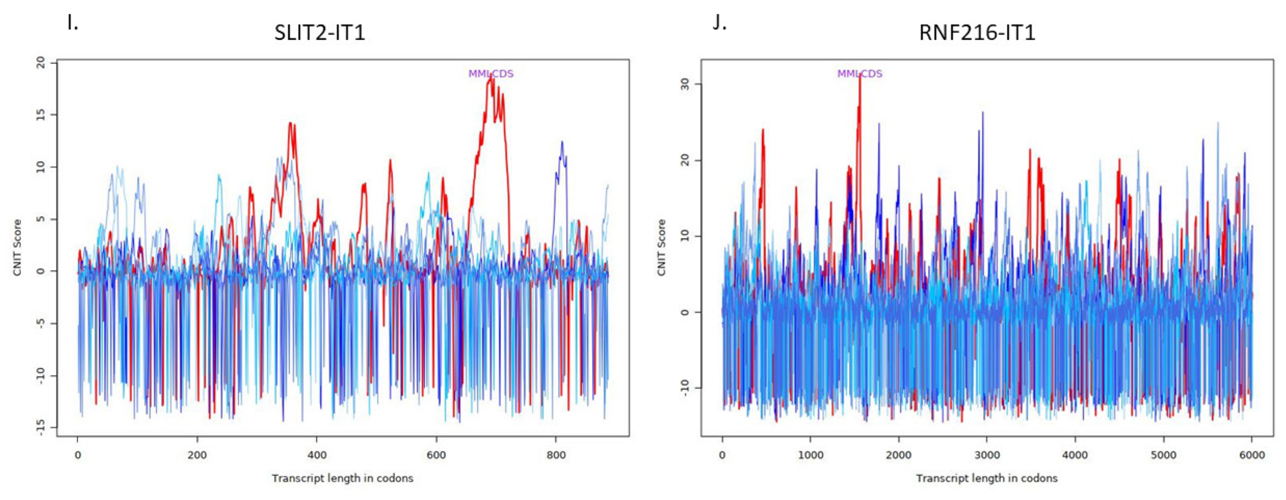 Ncrna 08 00073 g002e Ncrna 08 00073 g002e