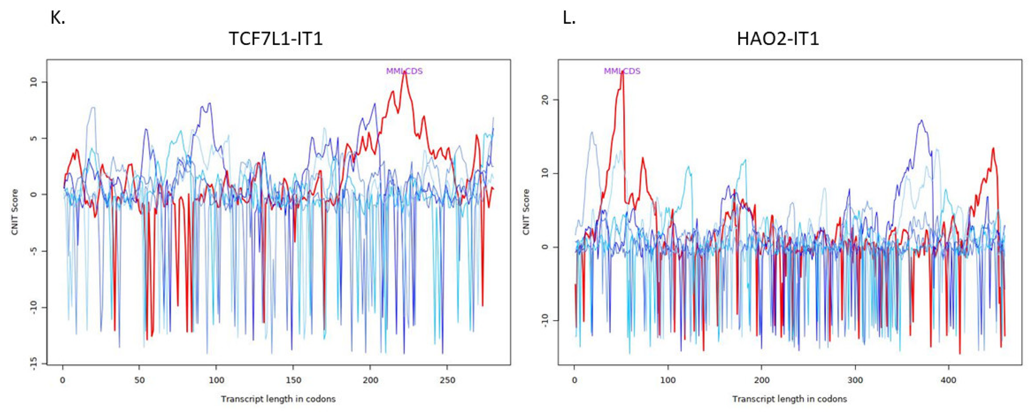 Ncrna 08 00073 g002f Ncrna 08 00073 g002f
