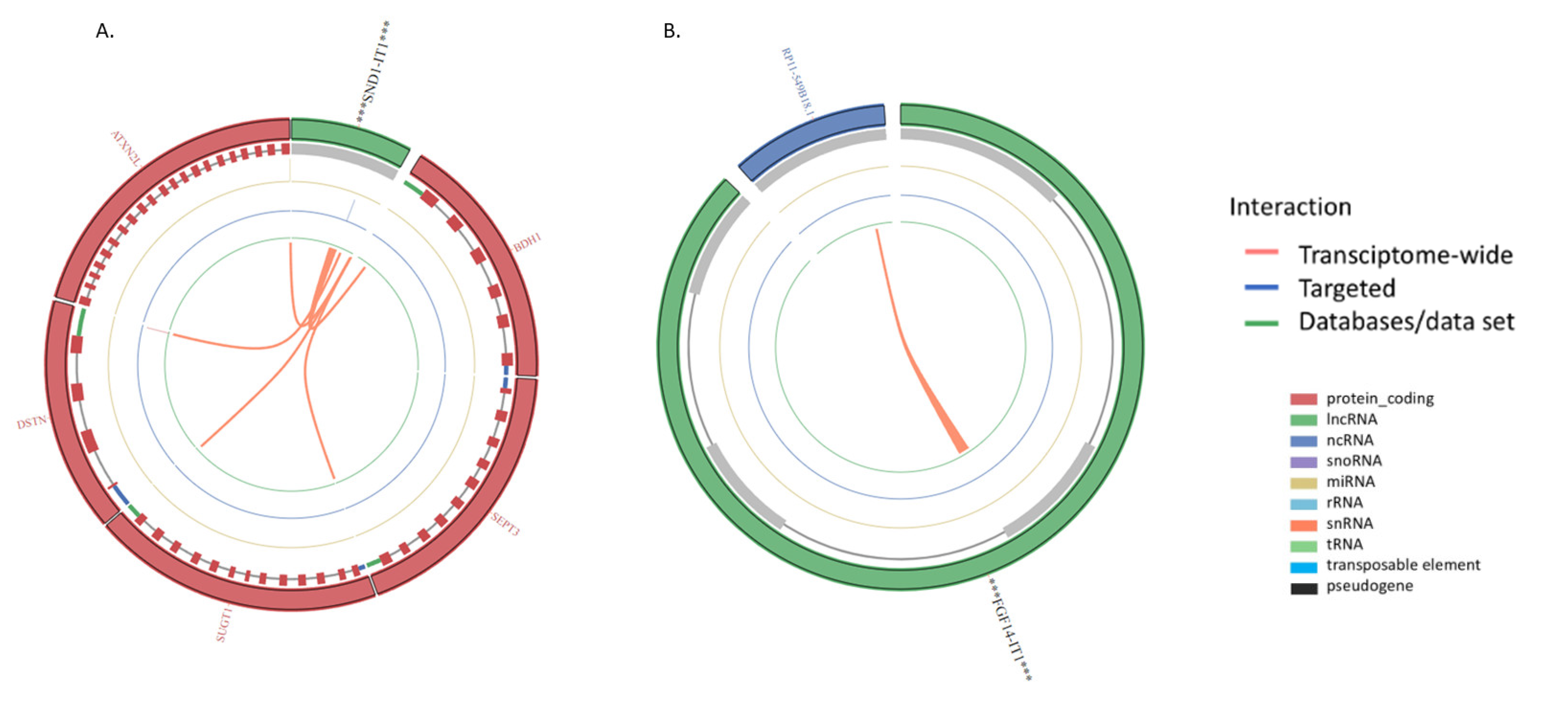 Ncrna 08 00073 g003a Ncrna 08 00073 g003a