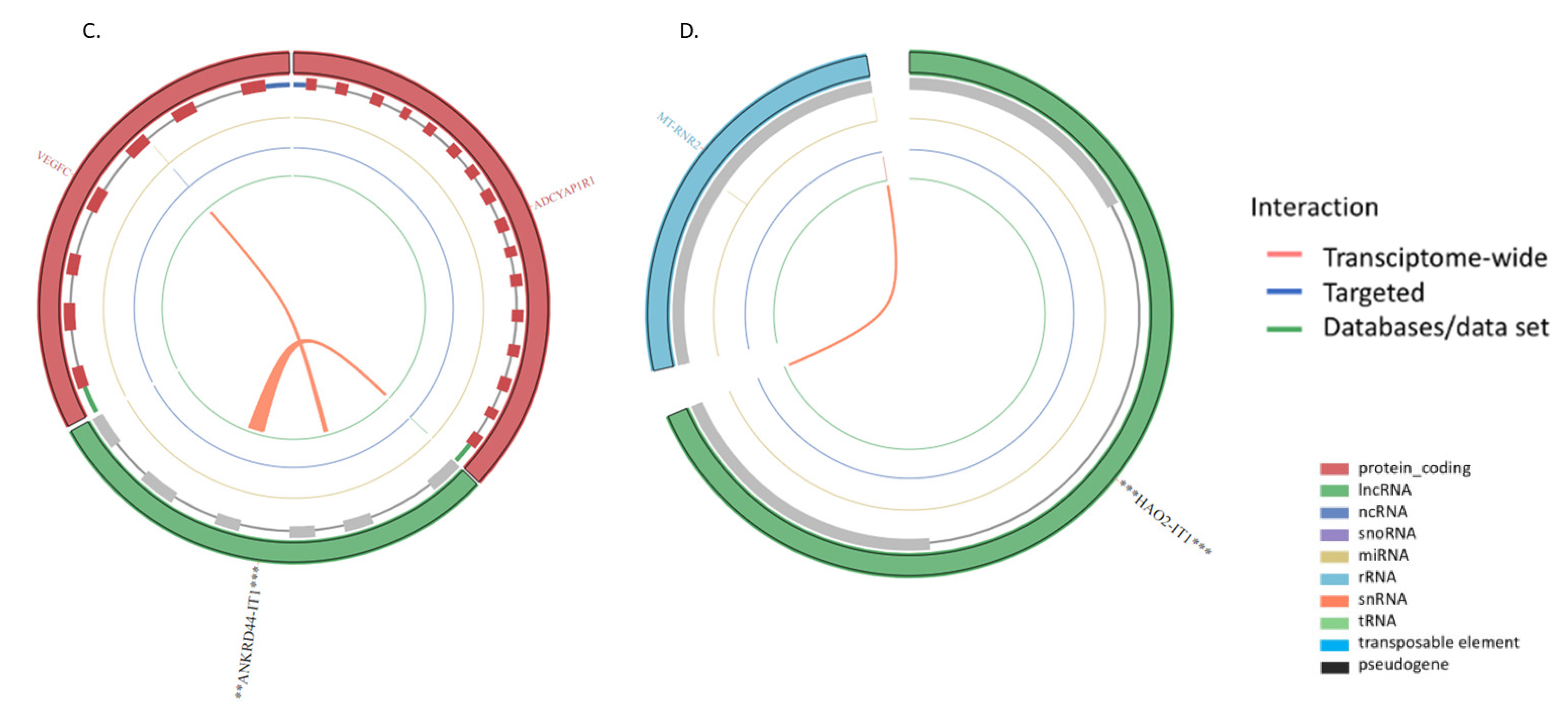 Ncrna 08 00073 g003b Ncrna 08 00073 g003b