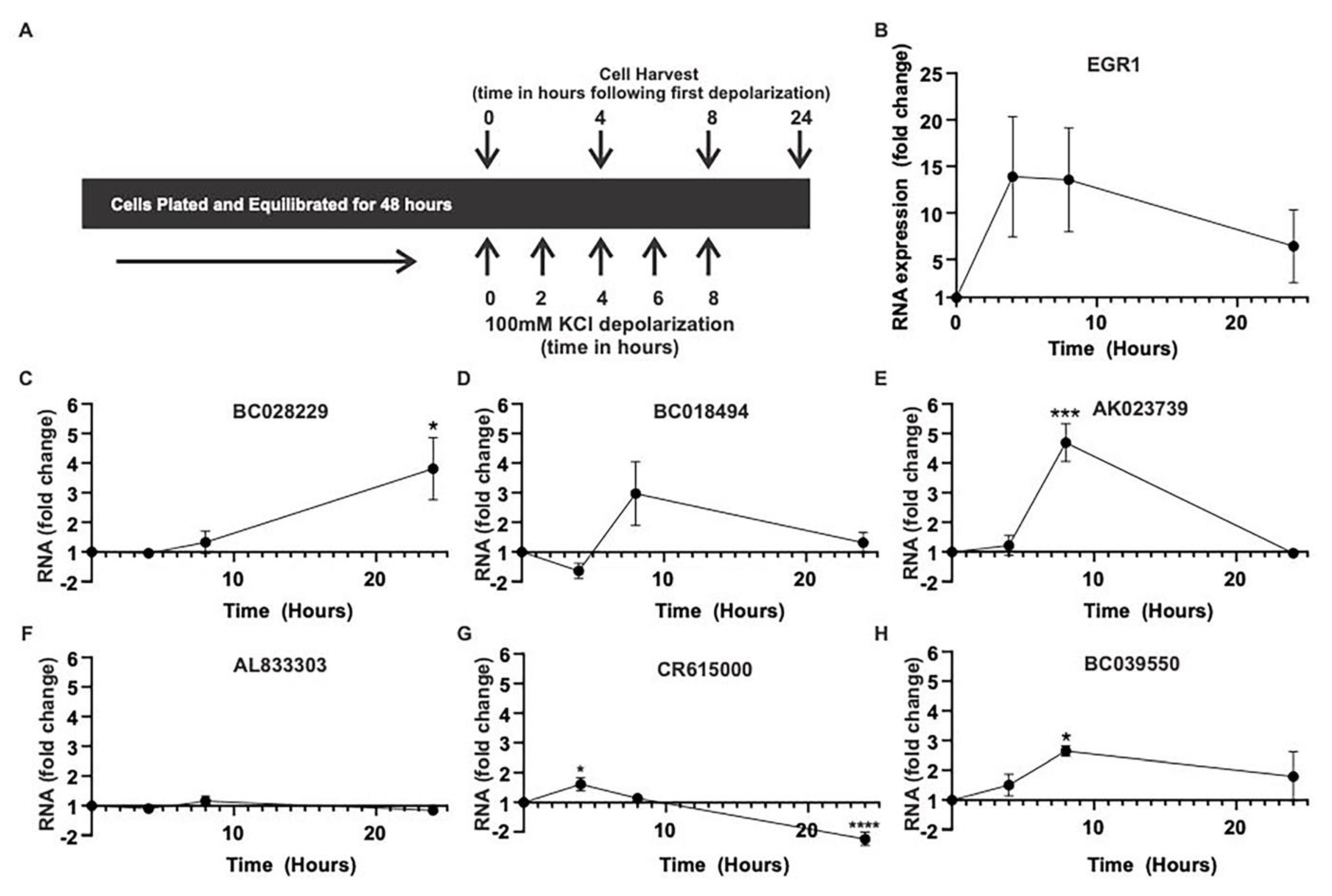 Ncrna 09 00003 g003 Ncrna 09 00003 g003