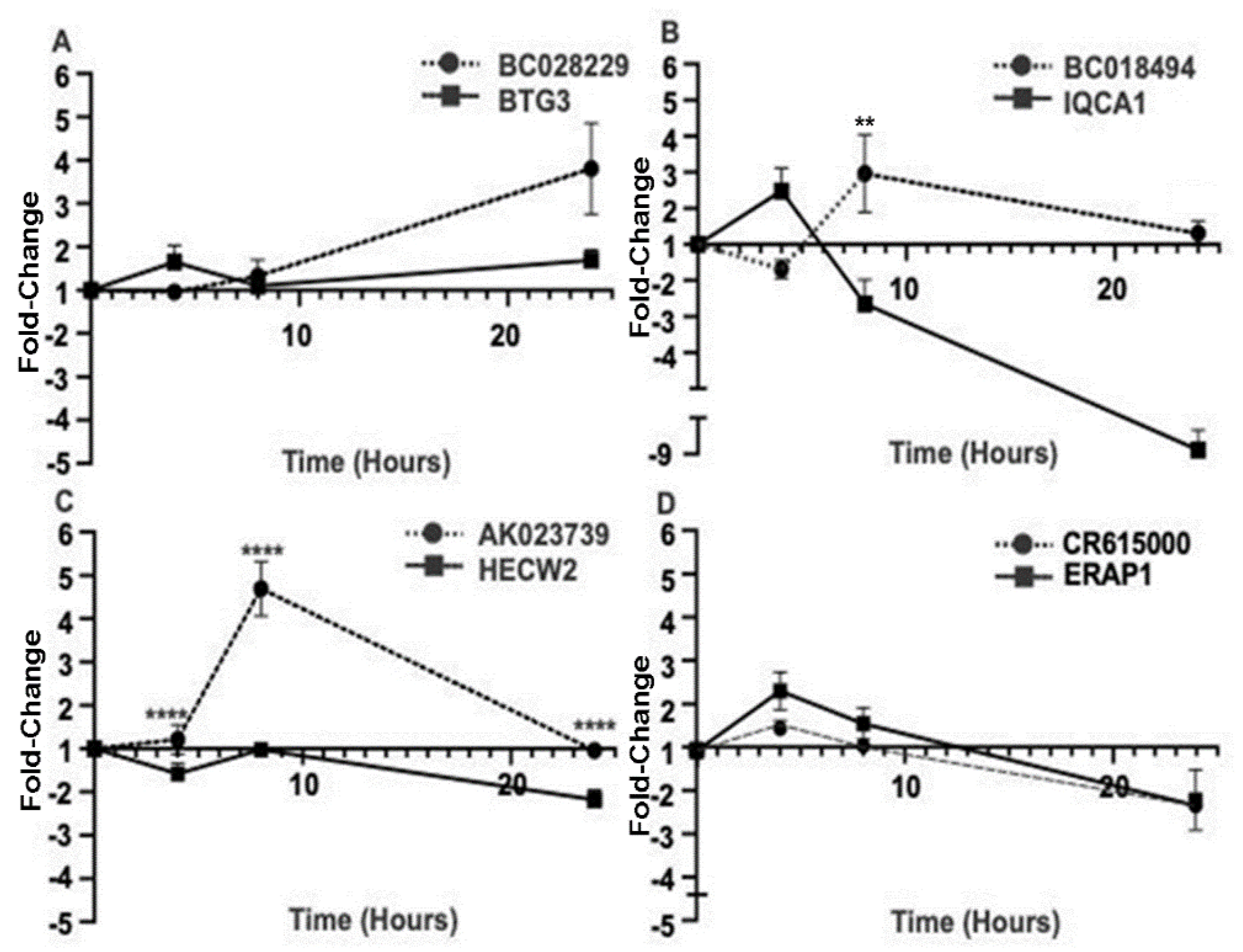Ncrna 09 00003 g005 Ncrna 09 00003 g005