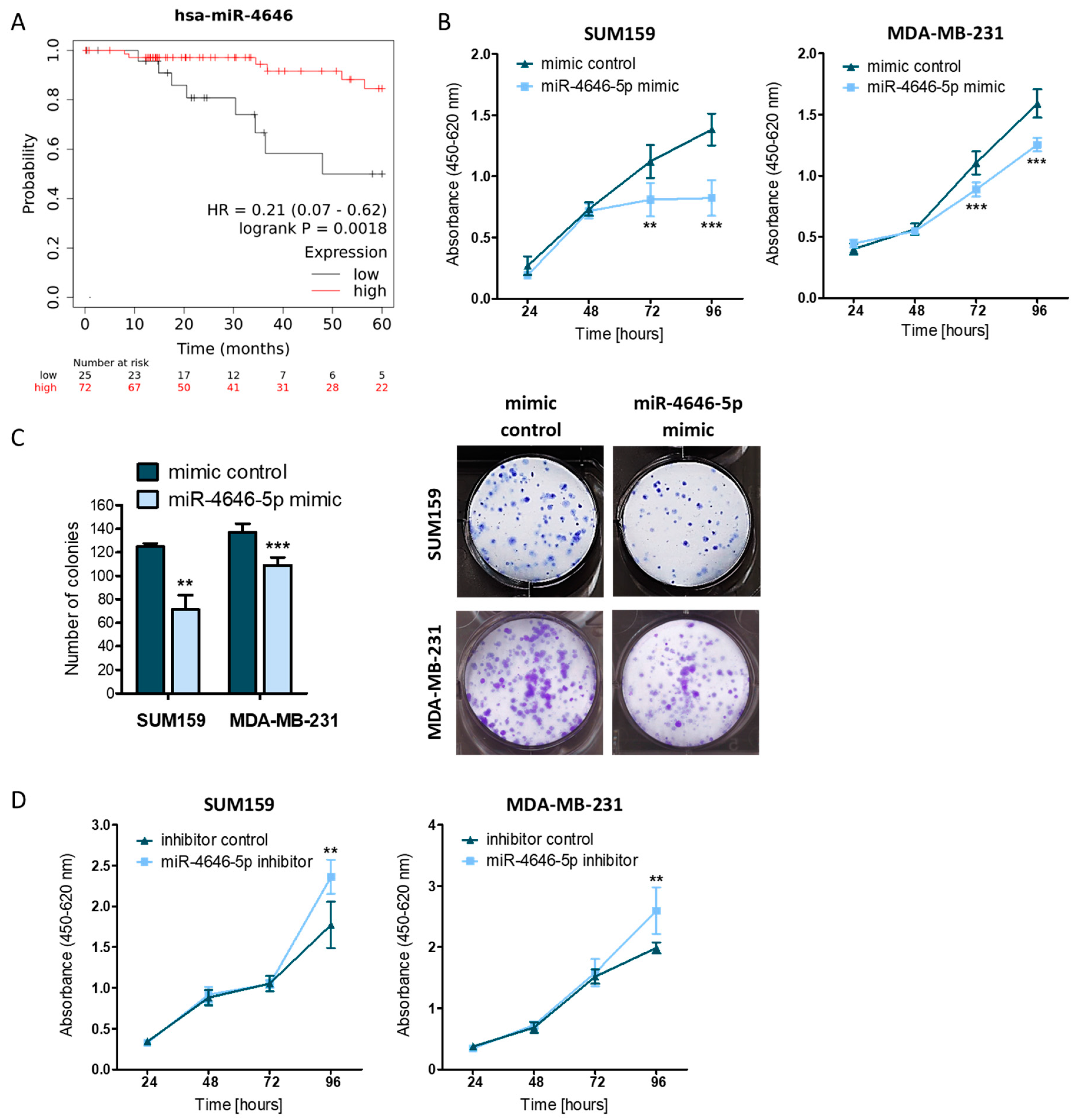 Ncrna 10 00002 g001 Ncrna 10 00002 g001