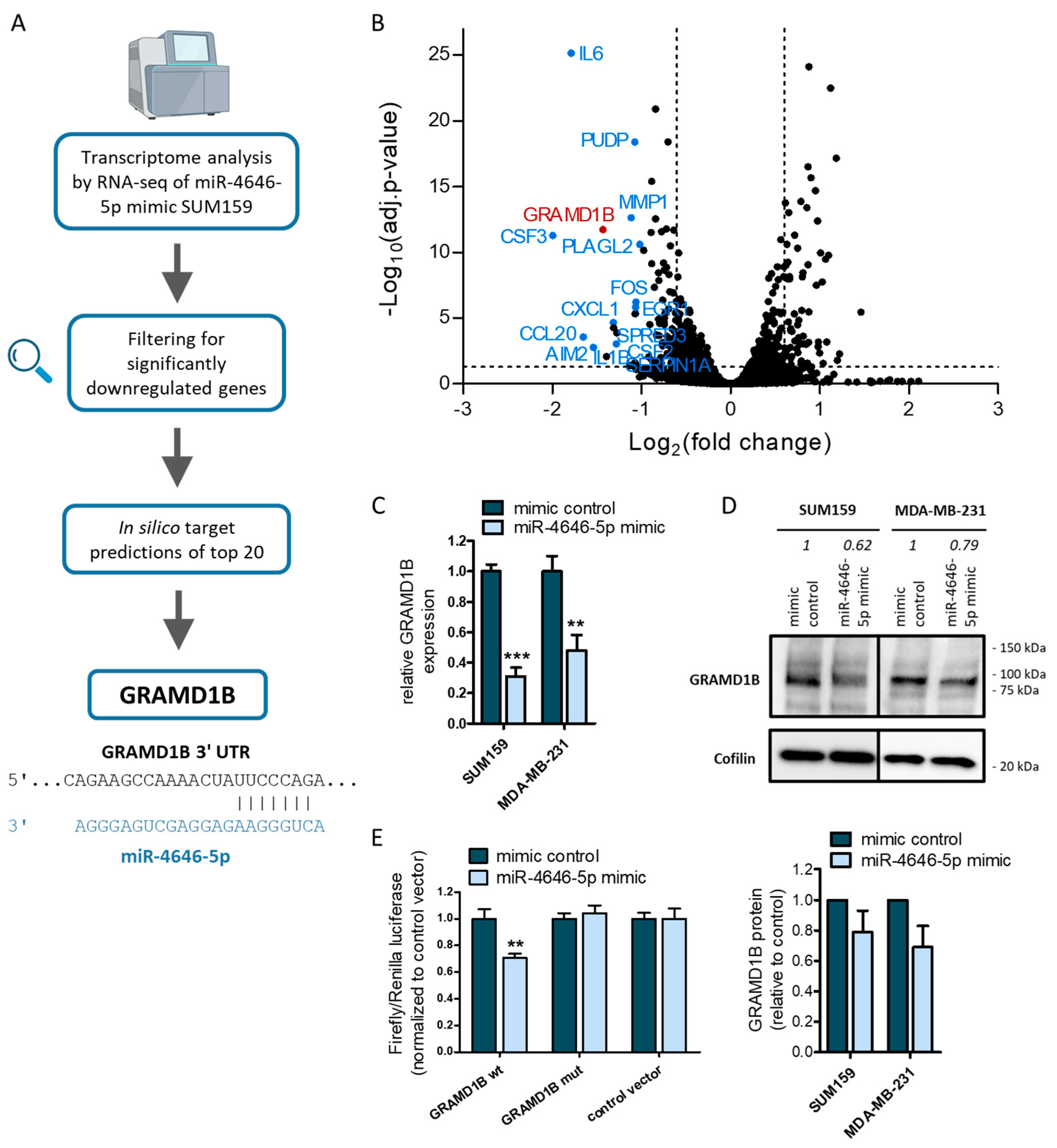 Ncrna 10 00002 g005 Ncrna 10 00002 g005