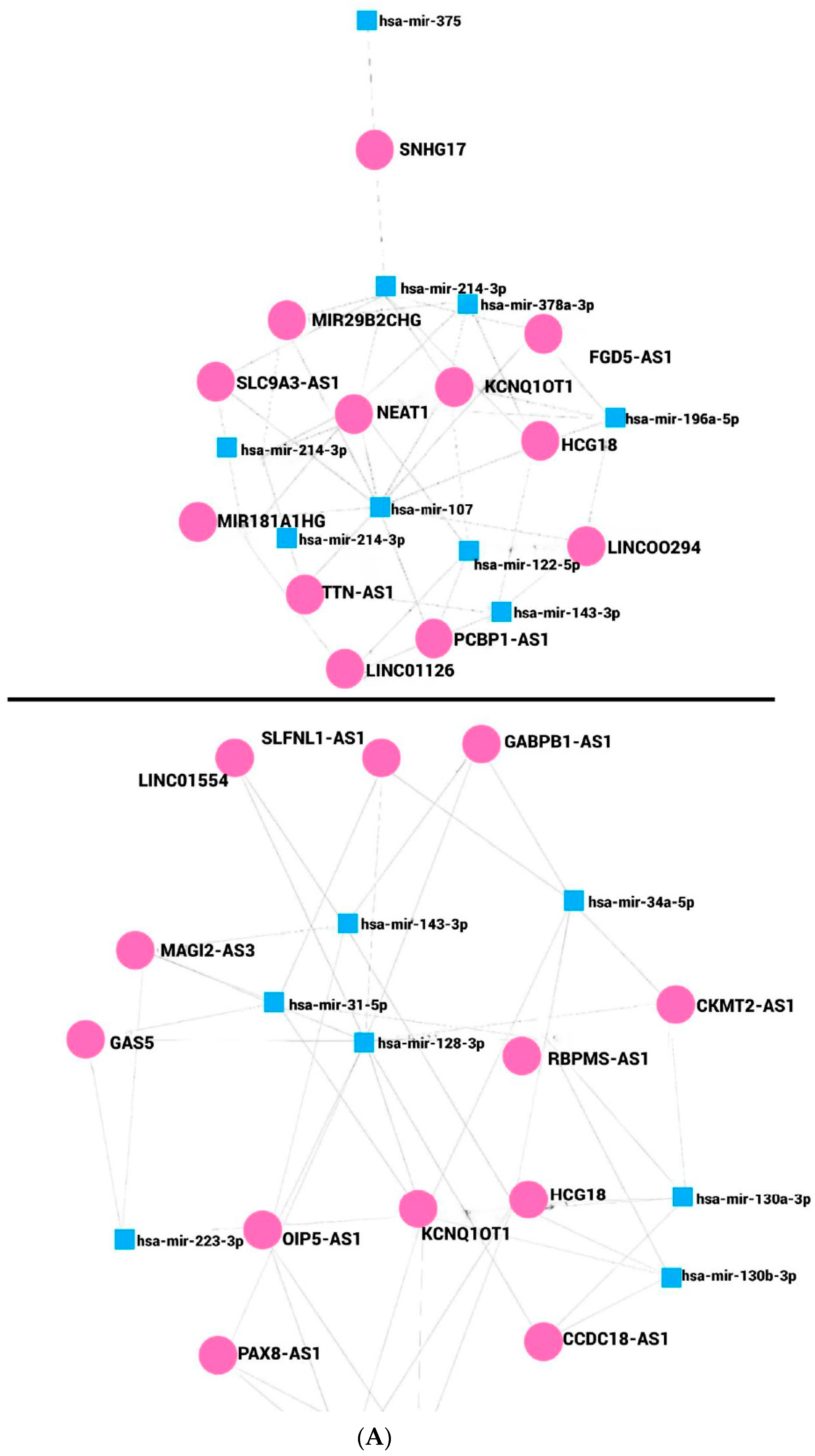 Ncrna 10 00024 g002a
