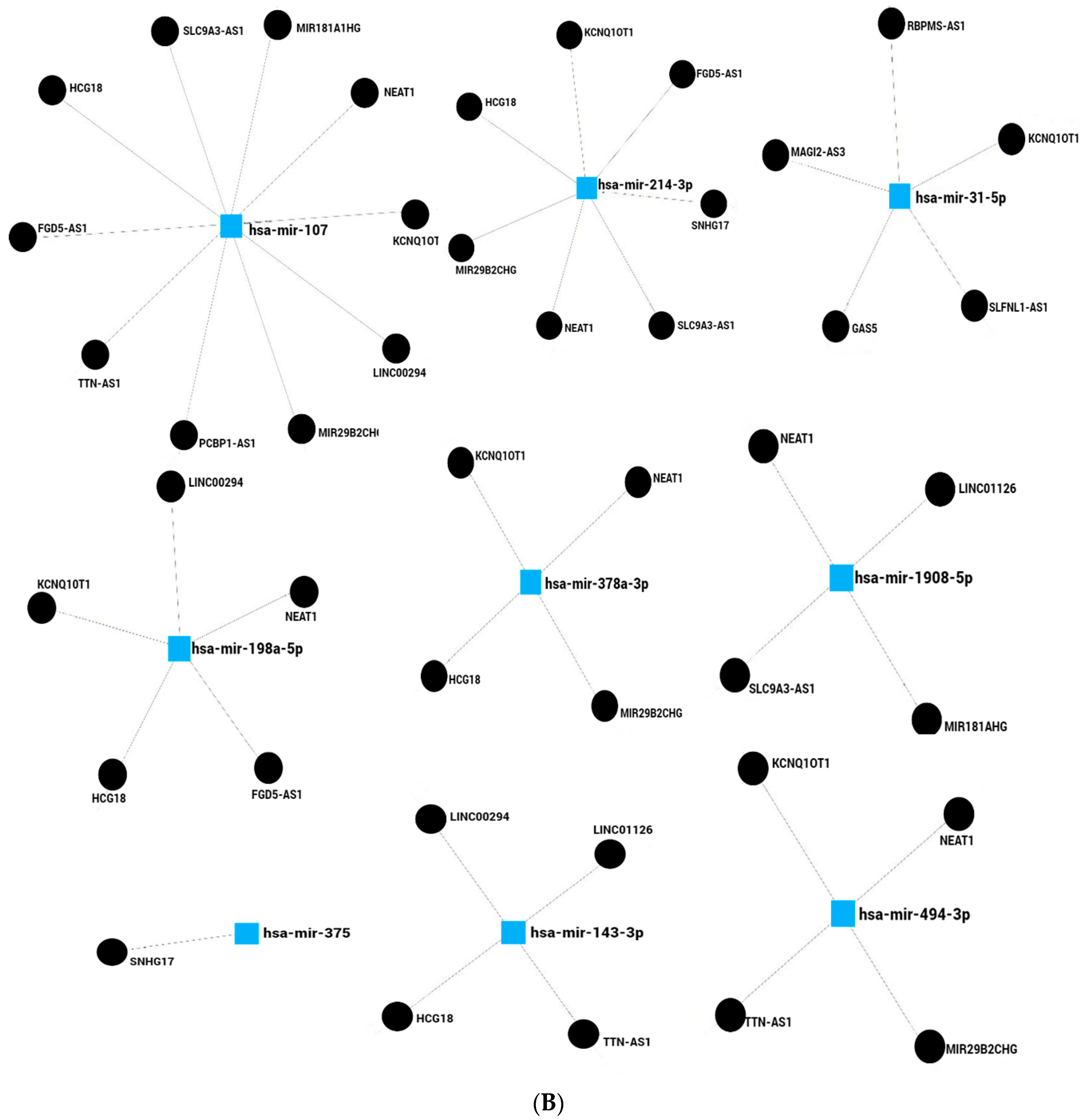 Ncrna 10 00024 g002b