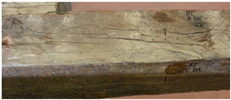 Ndt 02 00019 i005