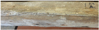 Ndt 02 00019 i009