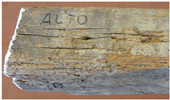 Ndt 02 00019 i021