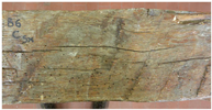 Ndt 02 00019 i034