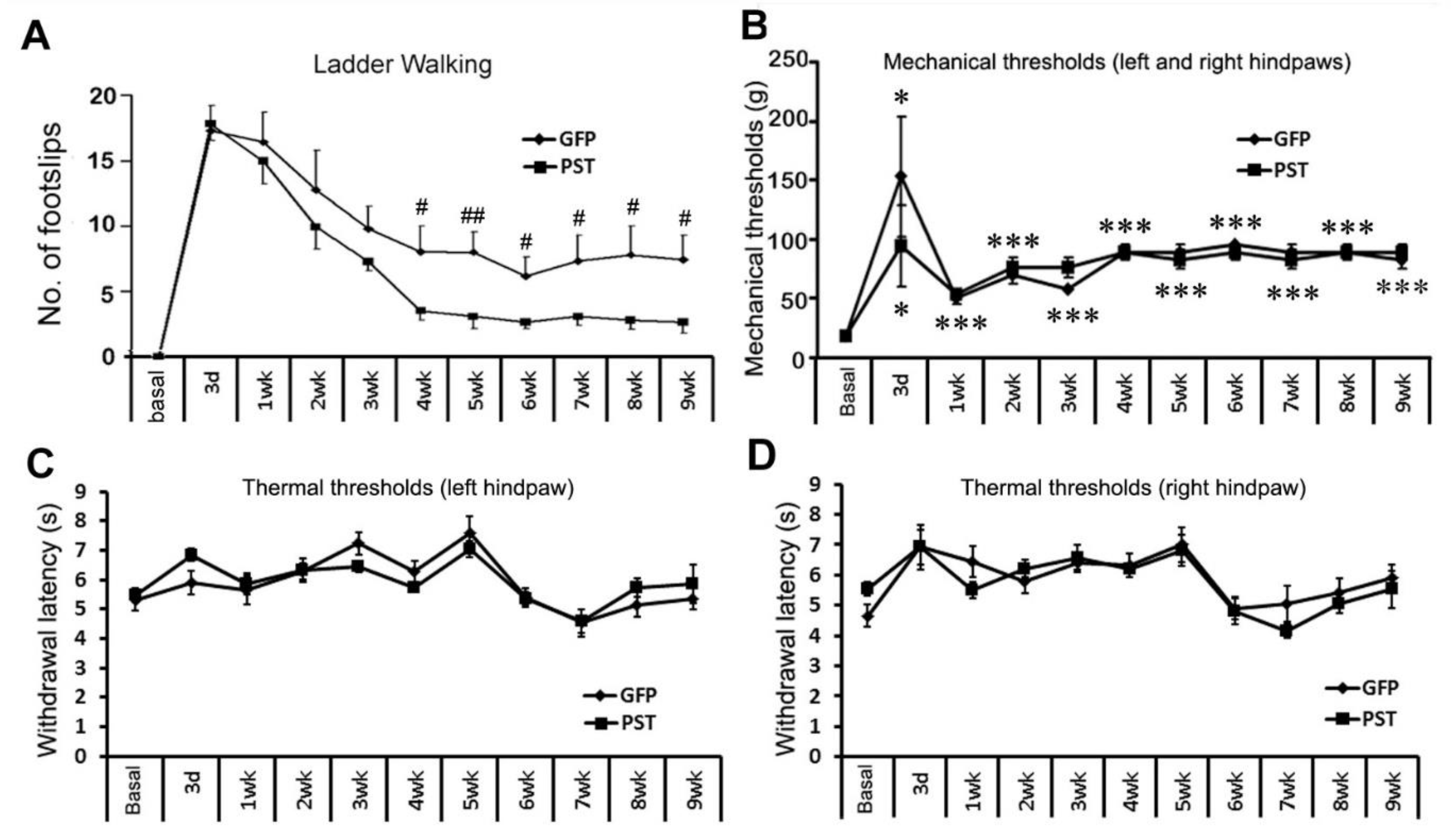 Neuroglia 04 00016 g005 Neuroglia 04 00016 g005