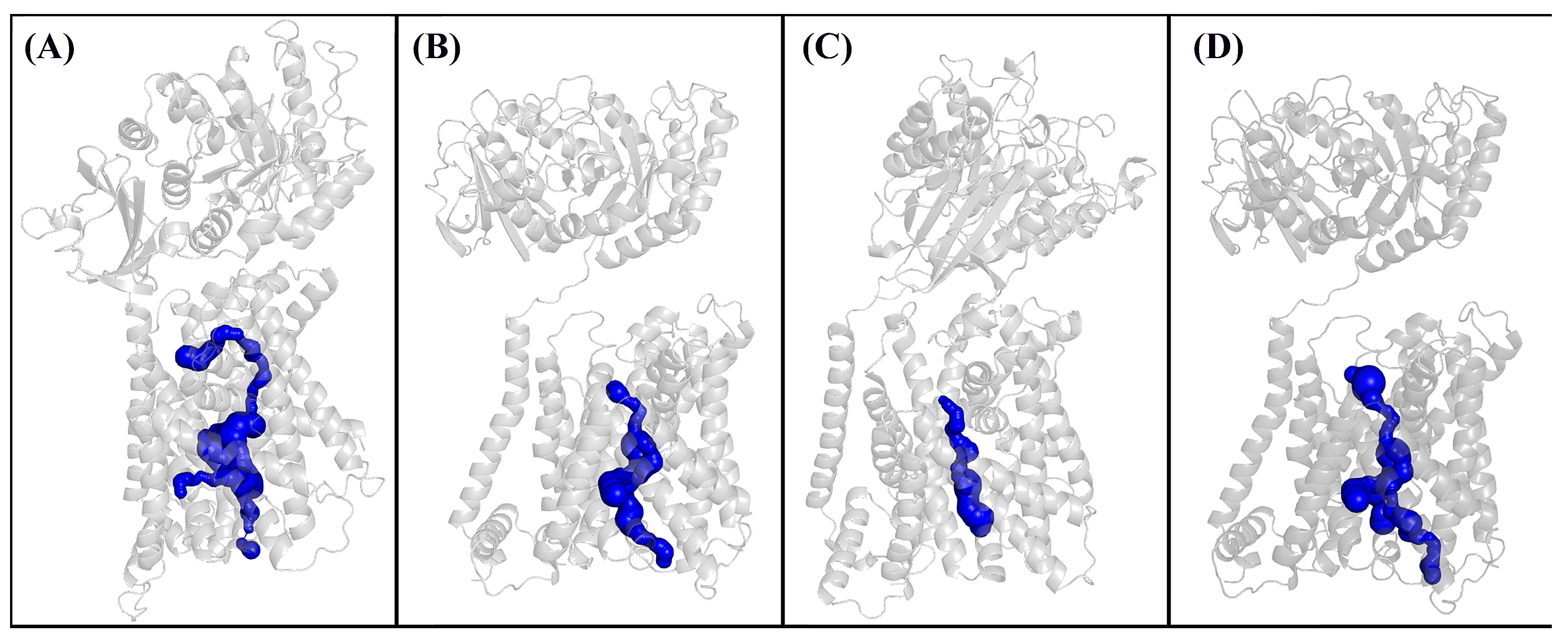 Neuroglia 05 00015 g012