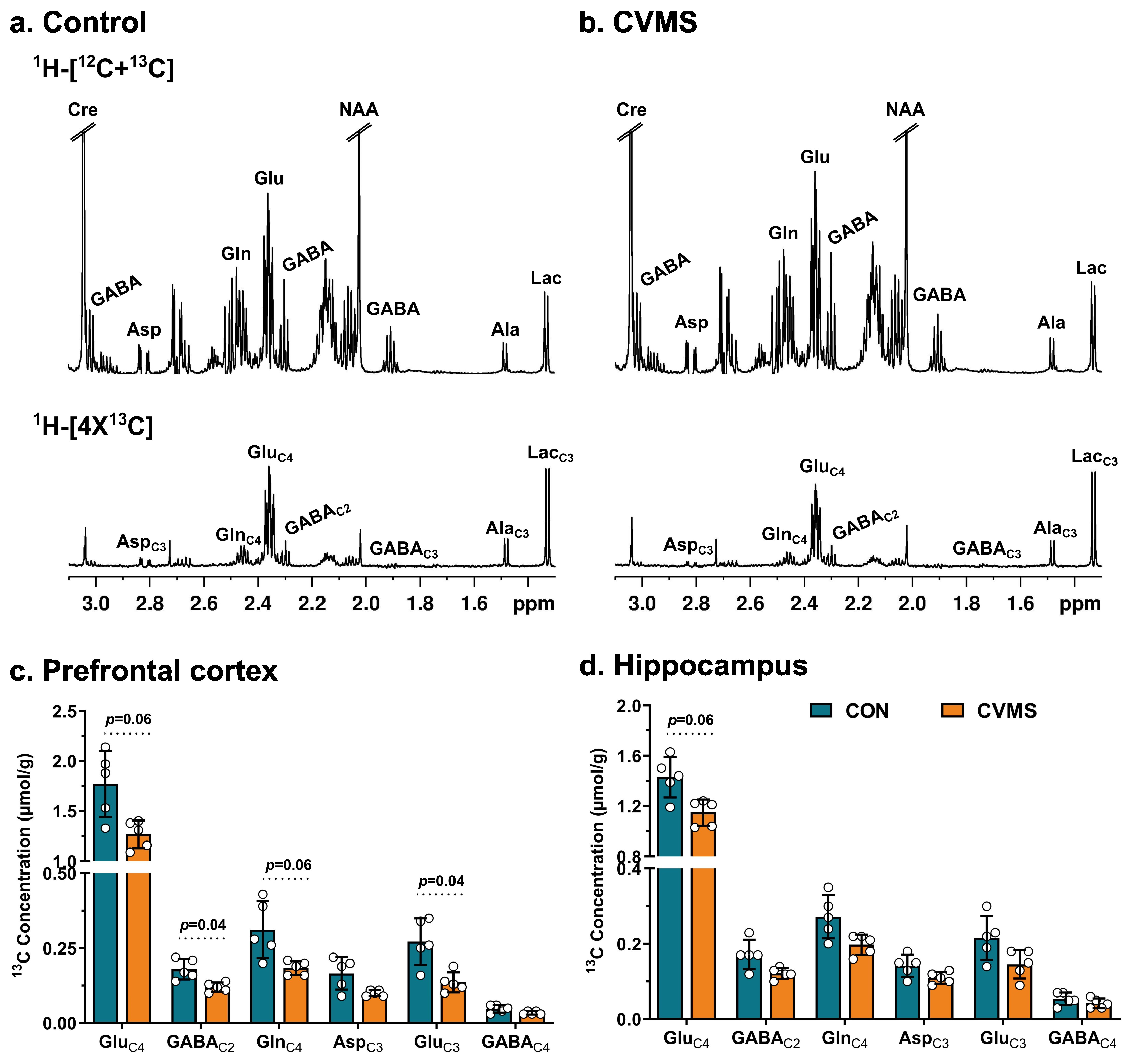 Neuroglia 05 00021 g002
