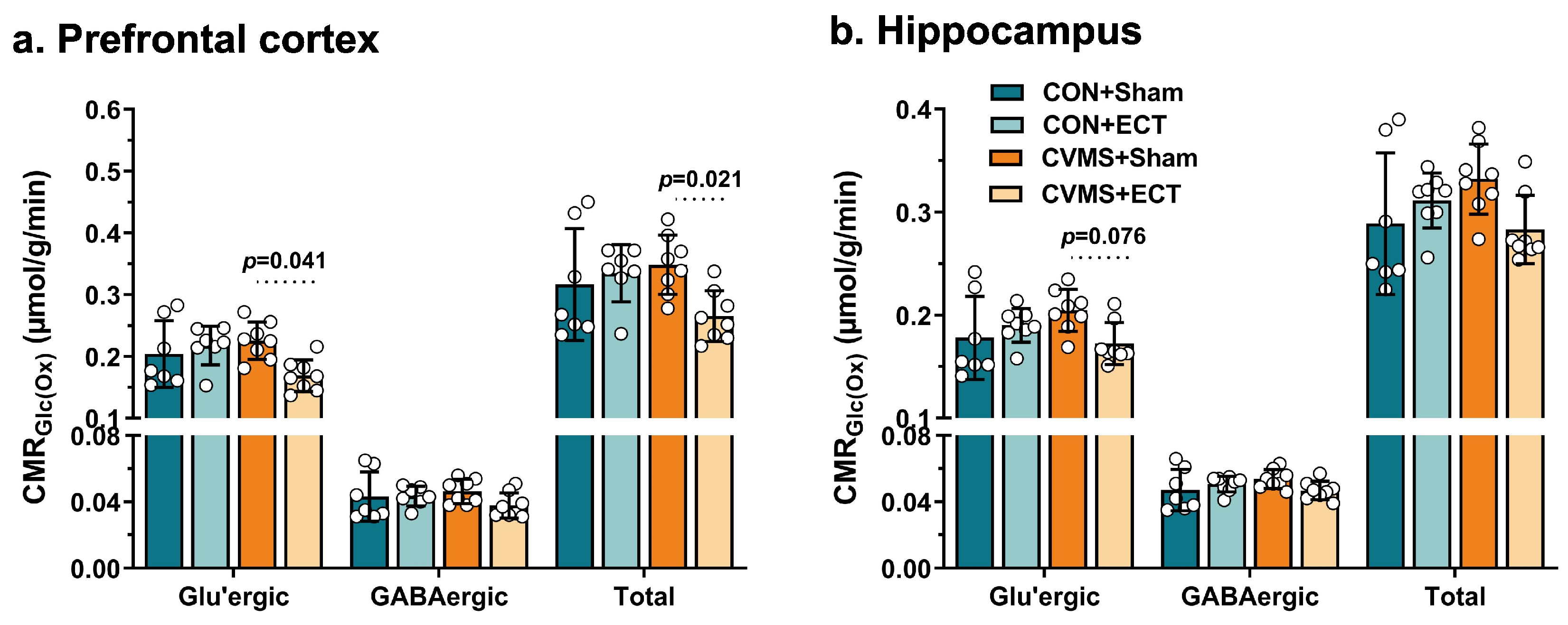 Neuroglia 05 00021 g006