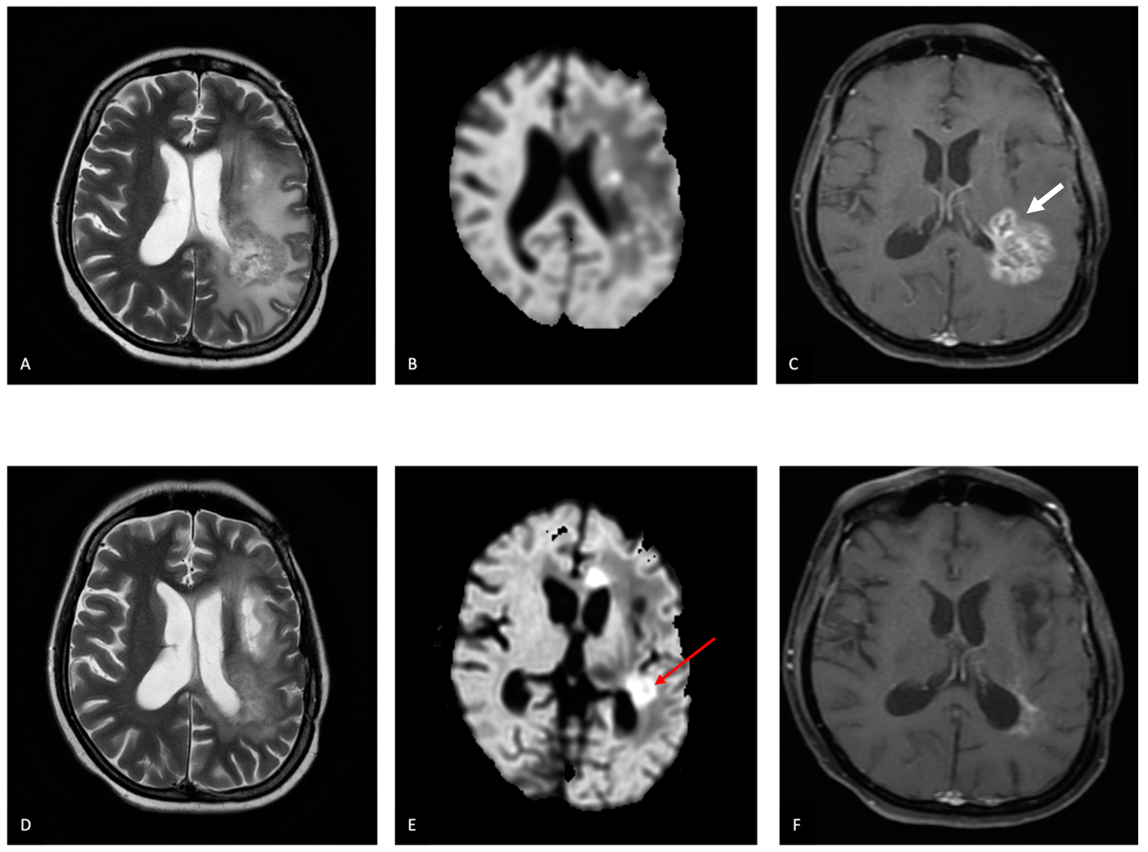 Neuroglia 05 00025 g005
