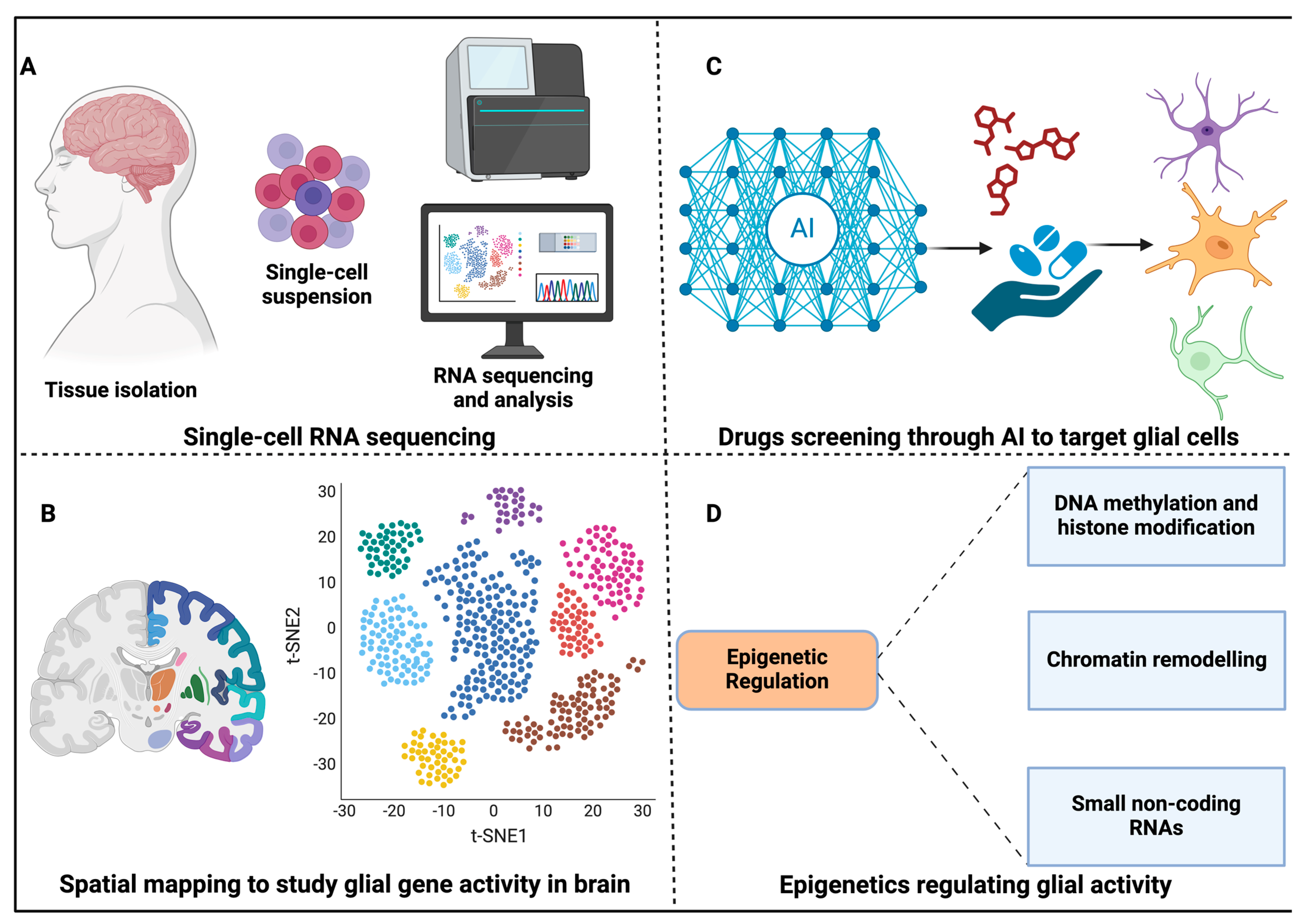 Neuroglia 05 00031 g003 Neuroglia 05 00031 g003