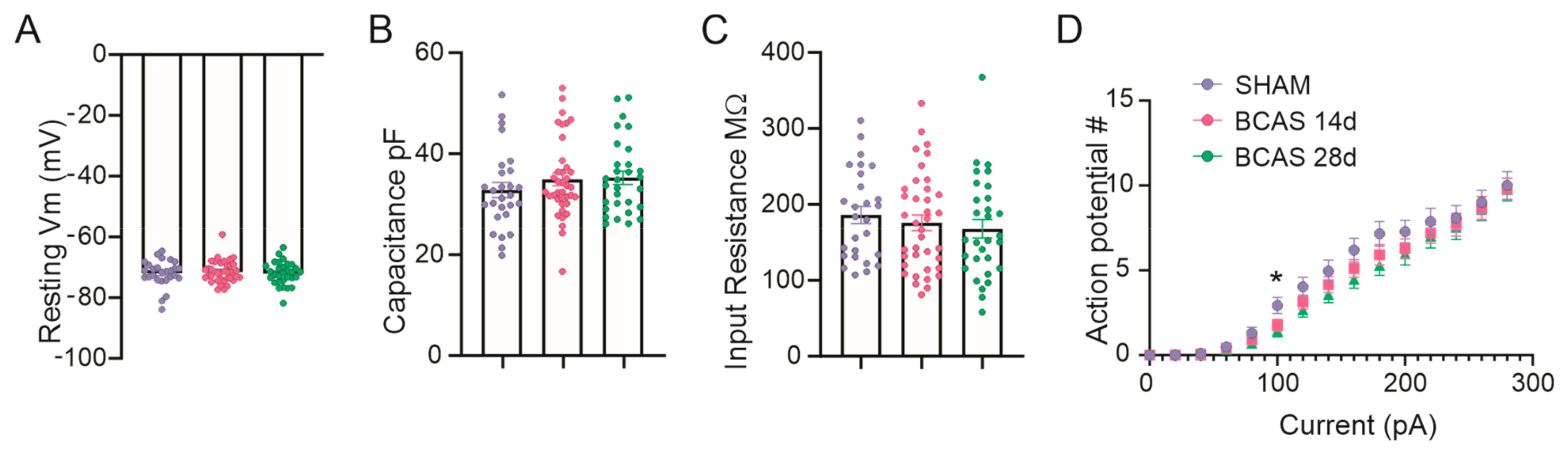 Neuroglia 05 00032 g001