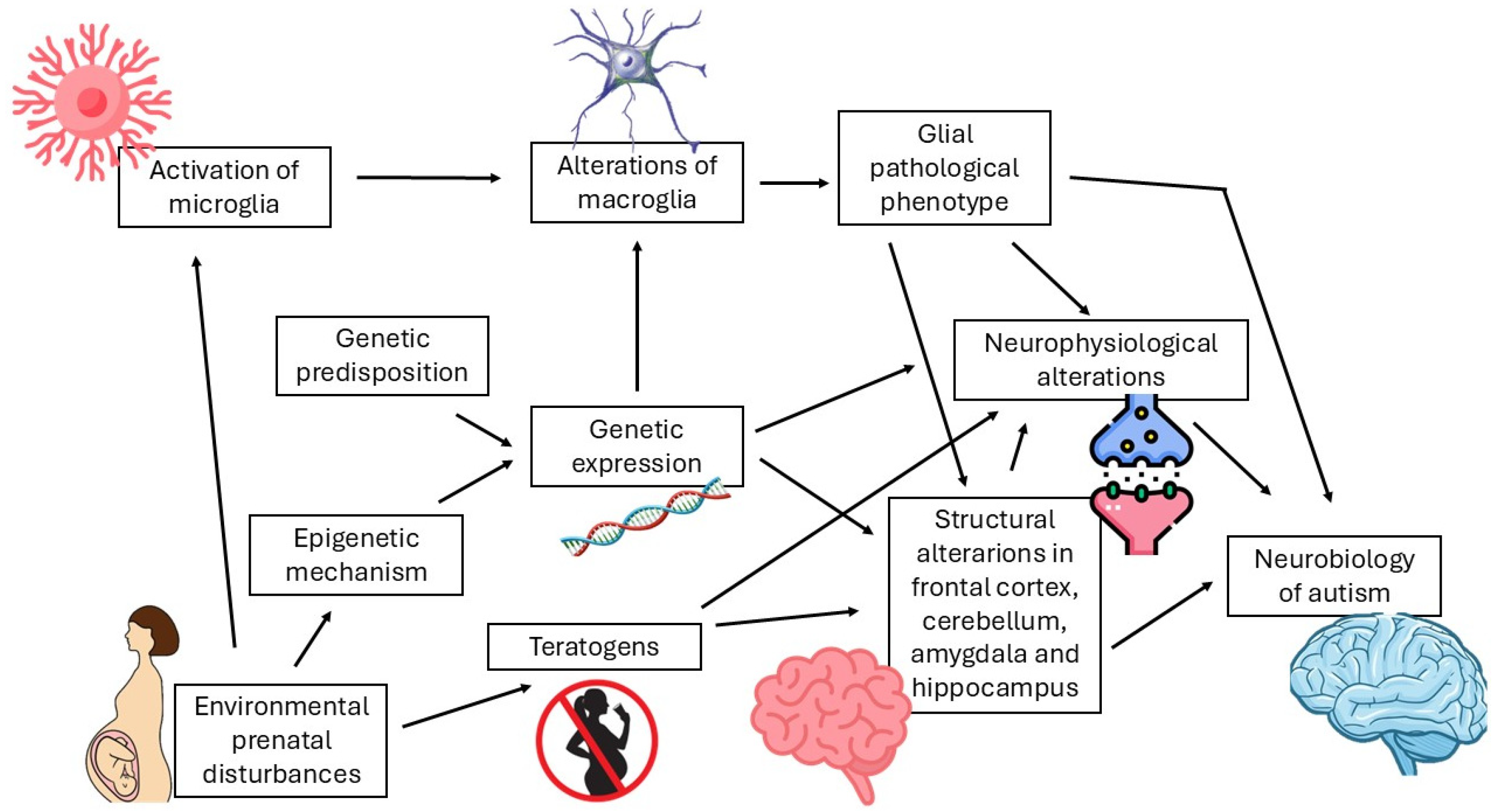 Neuroglia 06 00018 g001