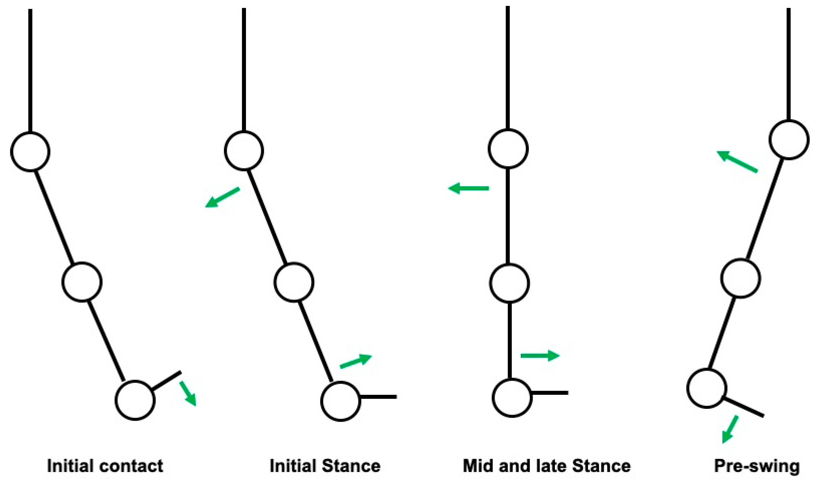 Neurolint 12 00011 g001 Neurolint 12 00011 g001