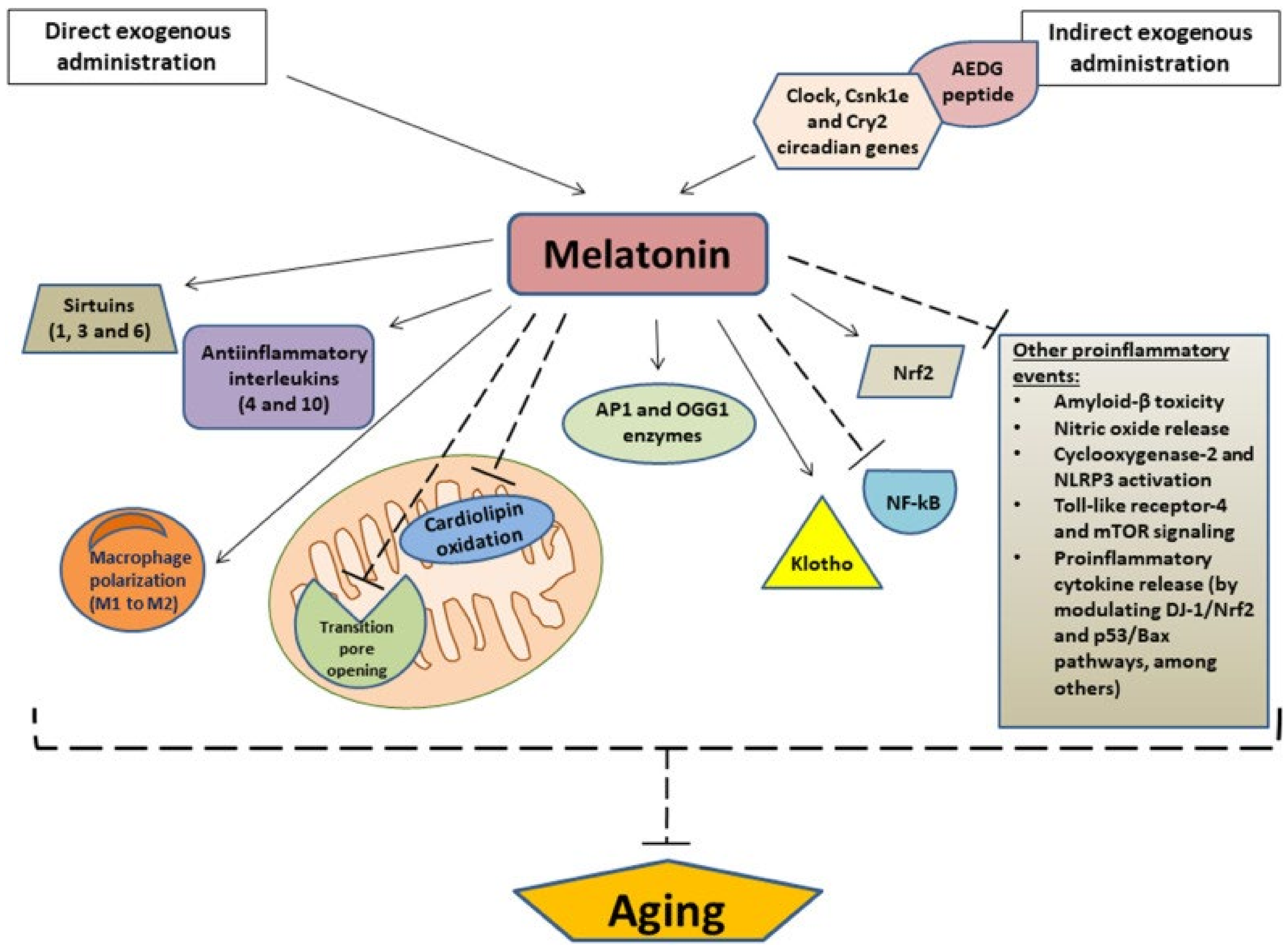 Neurology International | Free Full-Text | Chronic Administration of  Melatonin: Physiological and Clinical Considerations