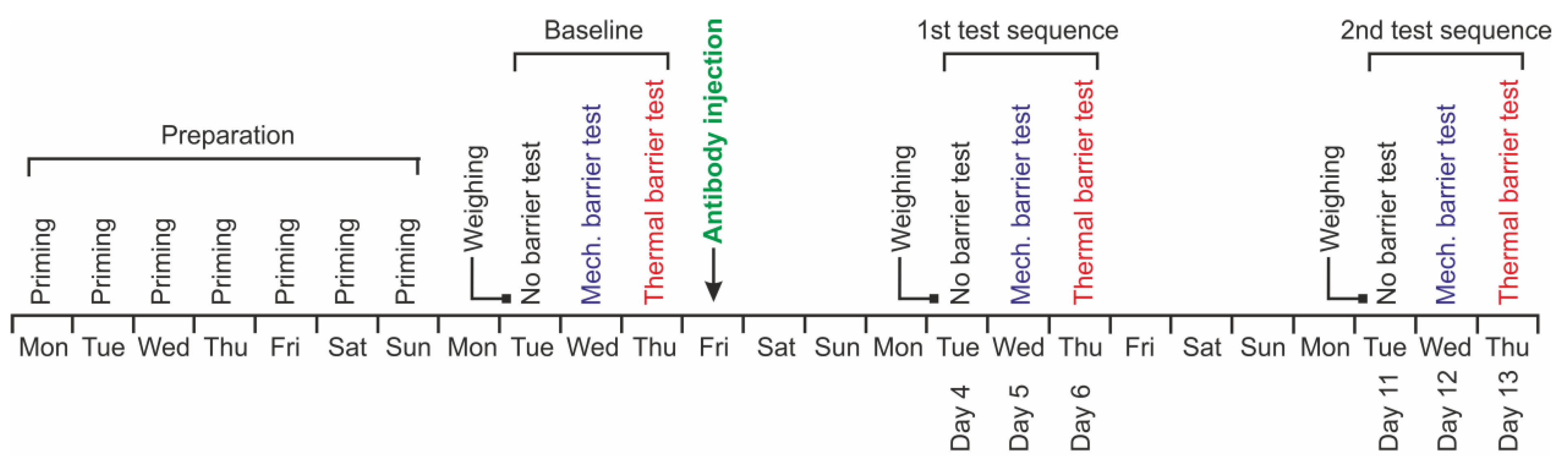 Neurolint 15 00039 g002 Neurolint 15 00039 g002