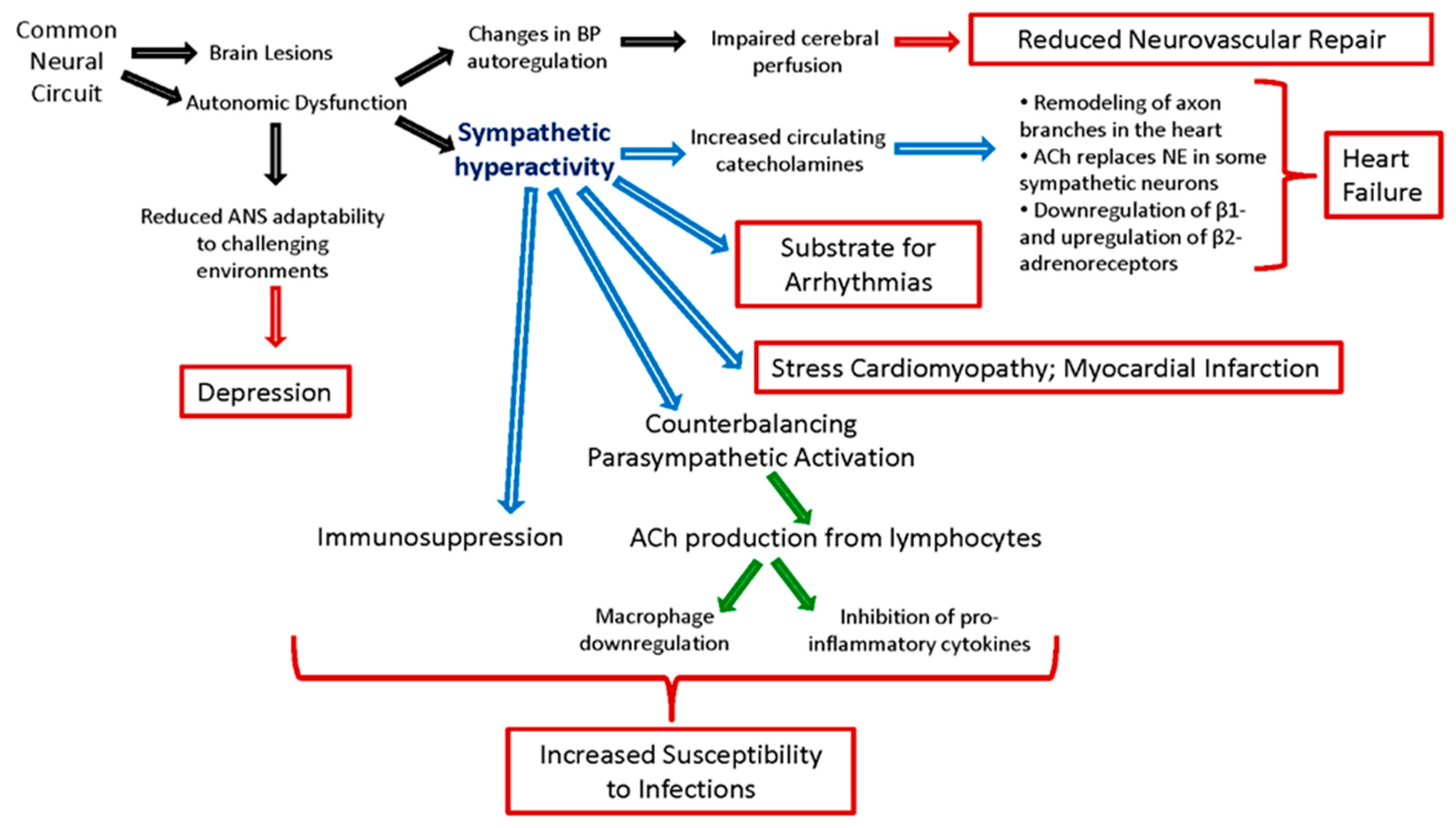 Neurolint 15 00042 g001 Neurolint 15 00042 g001