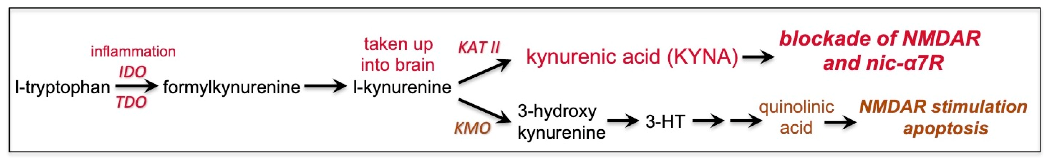 Neurolint 15 00045 g004