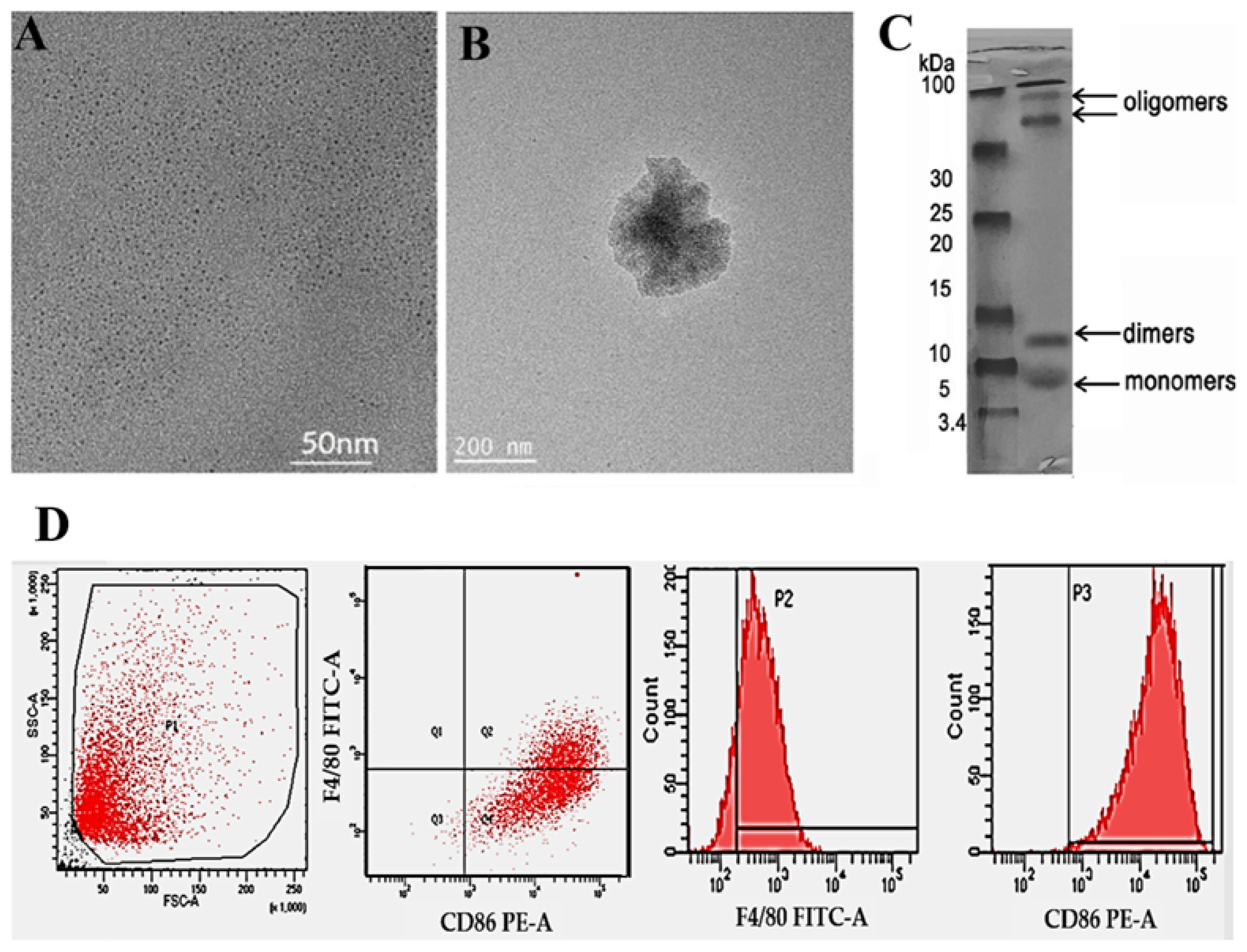 Neurolint 15 00061 g001 Neurolint 15 00061 g001