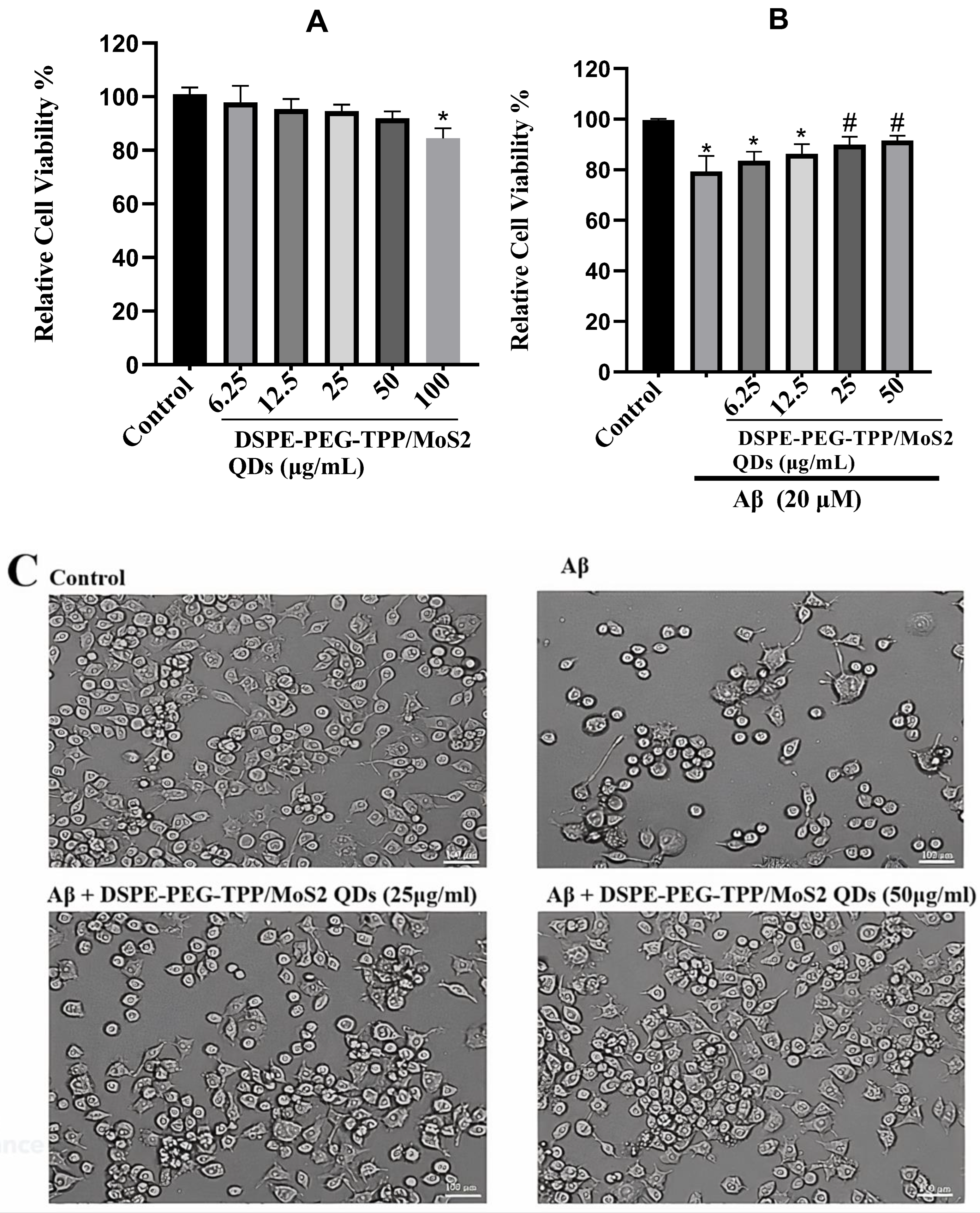 Neurolint 15 00061 g002 Neurolint 15 00061 g002