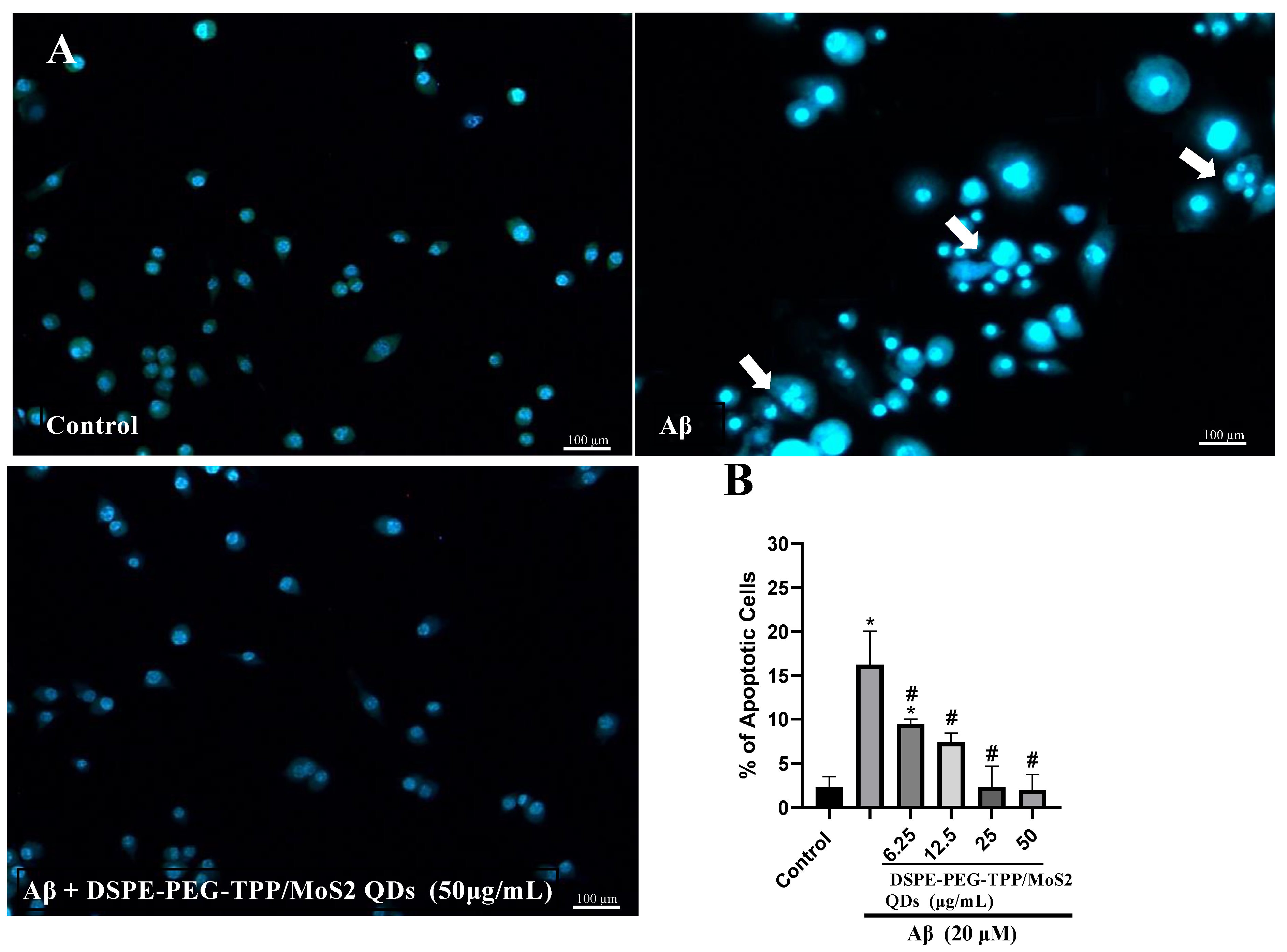 Neurolint 15 00061 g003 Neurolint 15 00061 g003