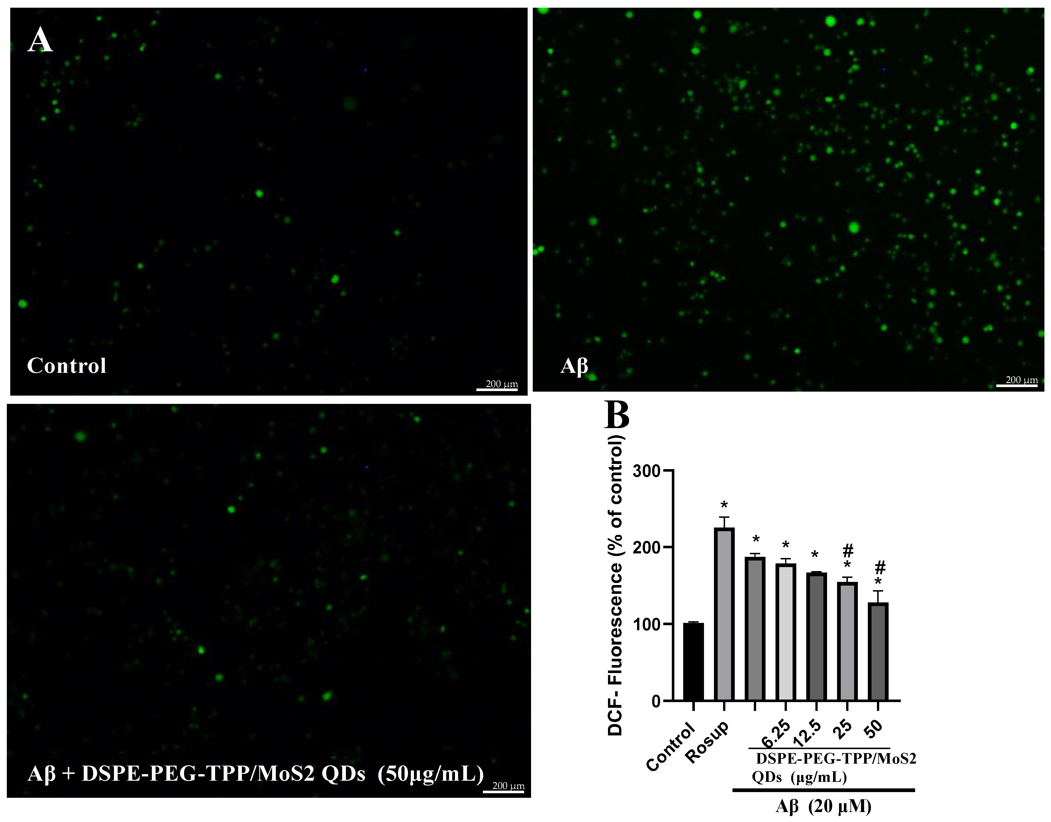 Neurolint 15 00061 g004 Neurolint 15 00061 g004