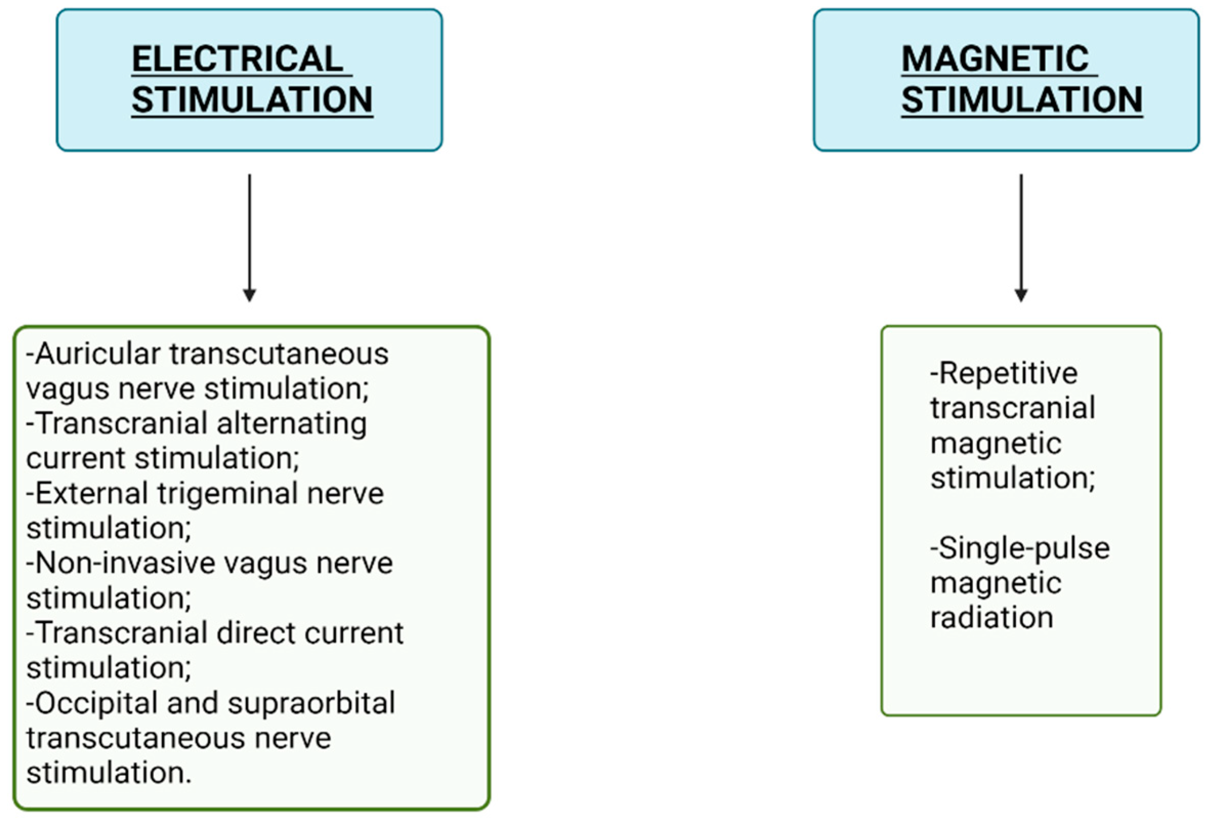 https://www.mdpi.com/neurolint/neurolint-15-00067/article_deploy/html/images/neurolint-15-00067-g006.png