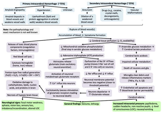 Neurology International | Free Full-Text | Hemorrhagic Coagulation ...