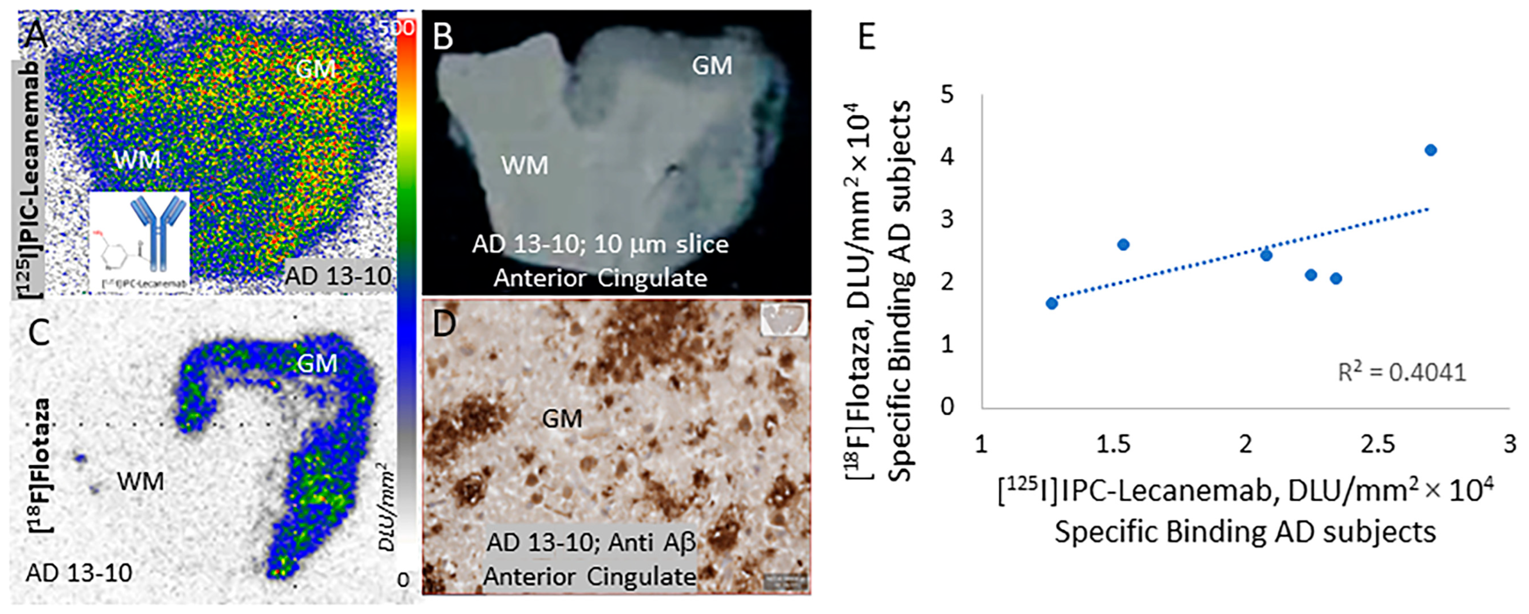 Neurolint 16 00031 g003