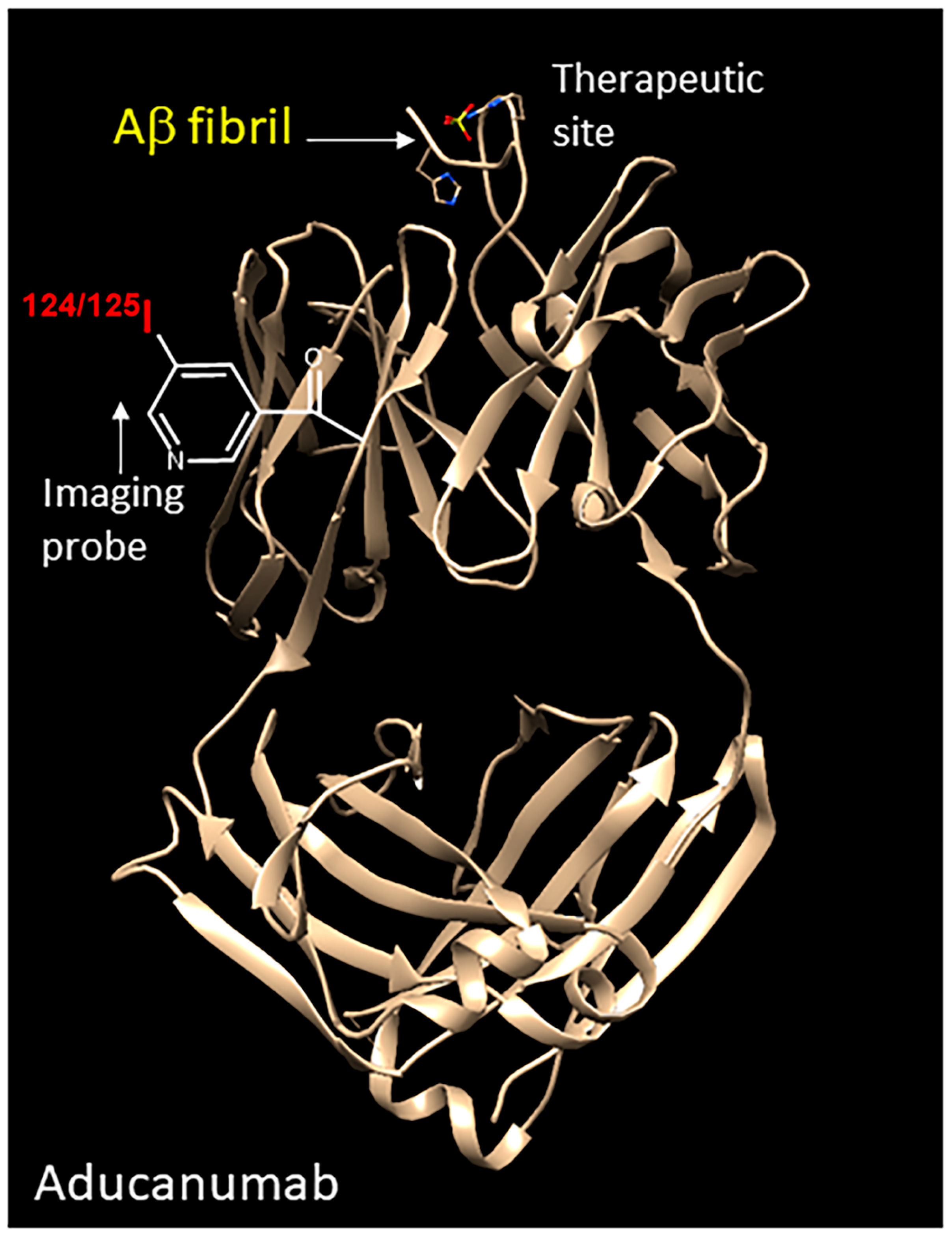 Neurolint 16 00031 g005