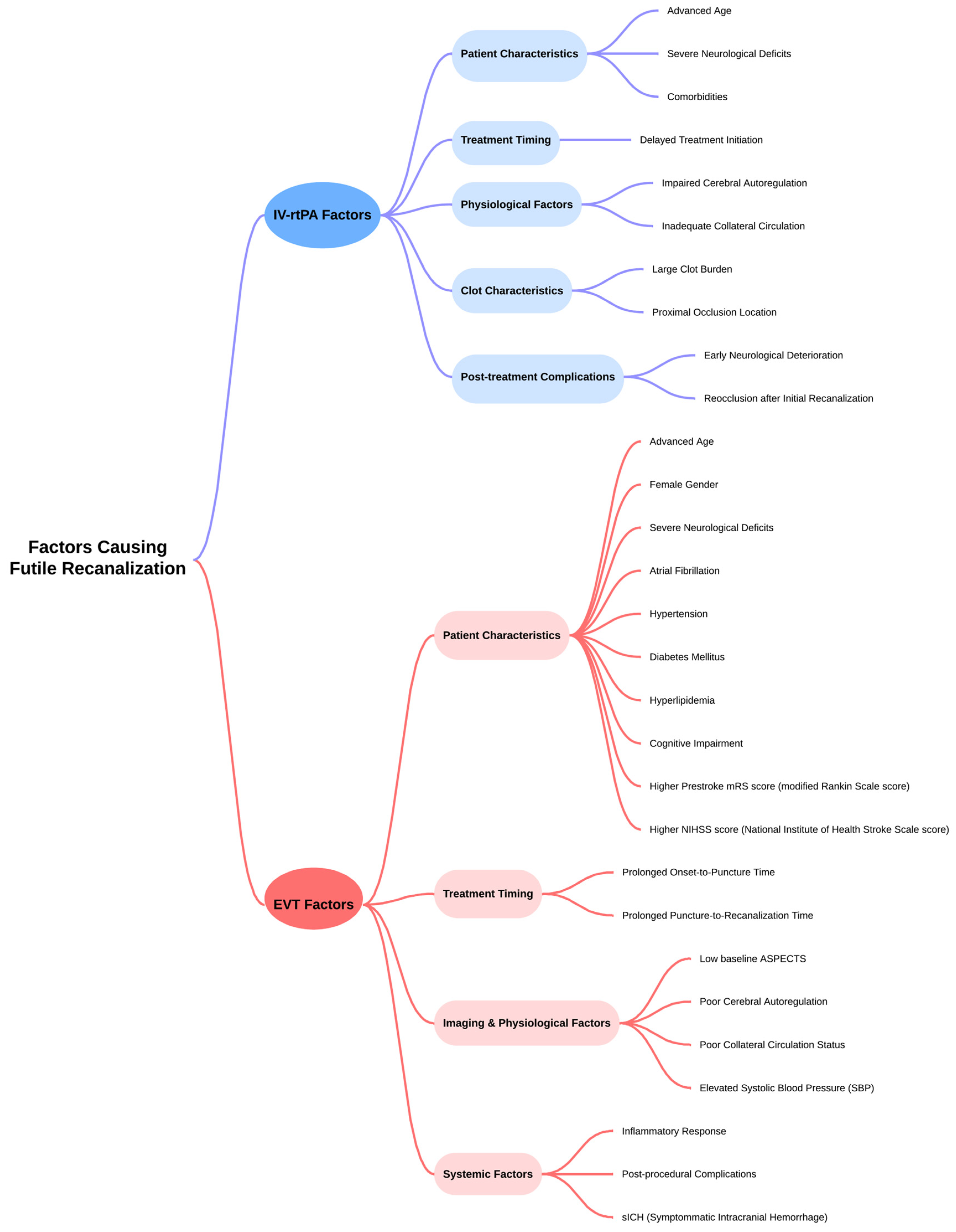 Neurolint 16 00045 g002