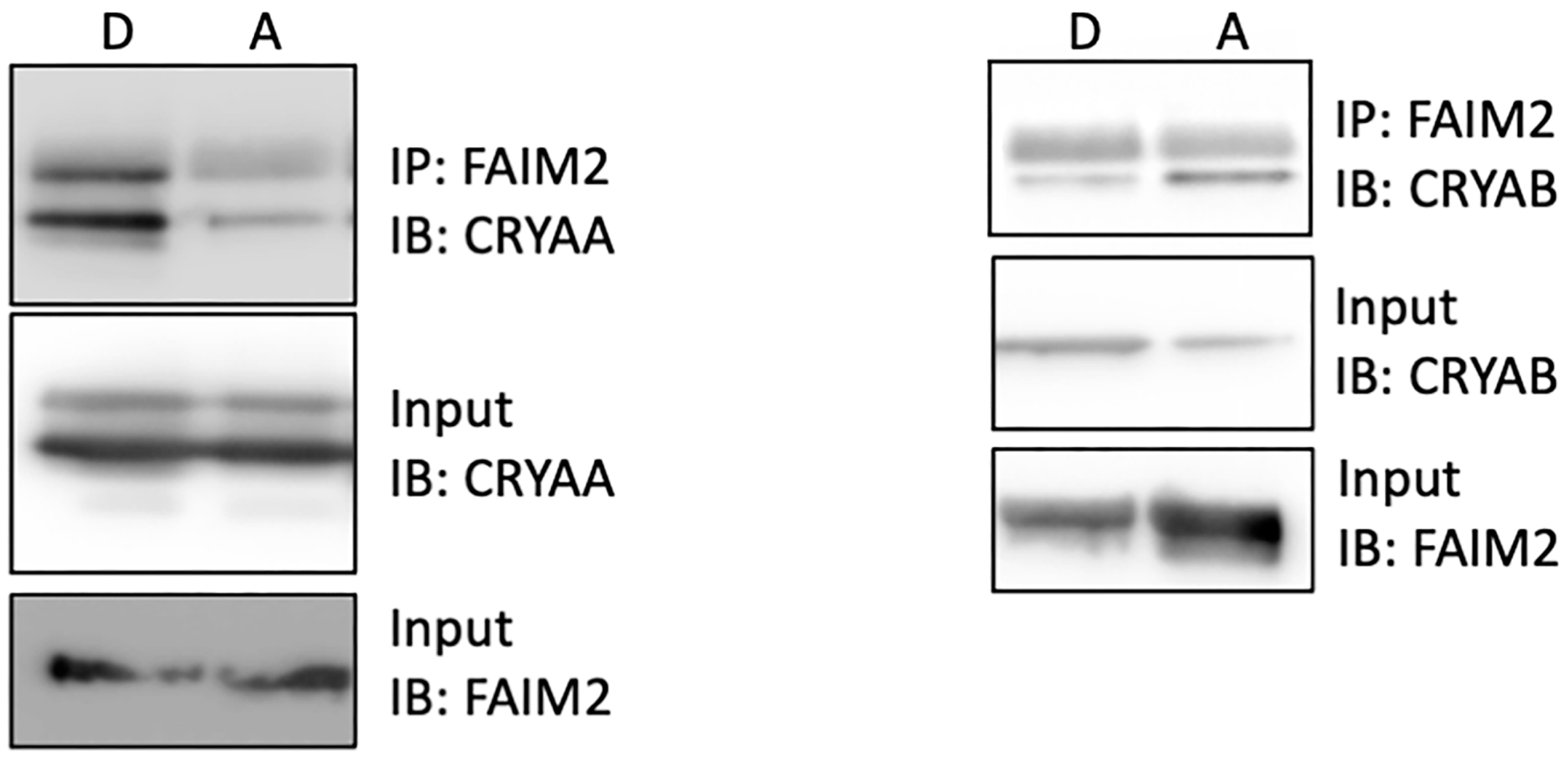 Neurolint 16 00068 g006