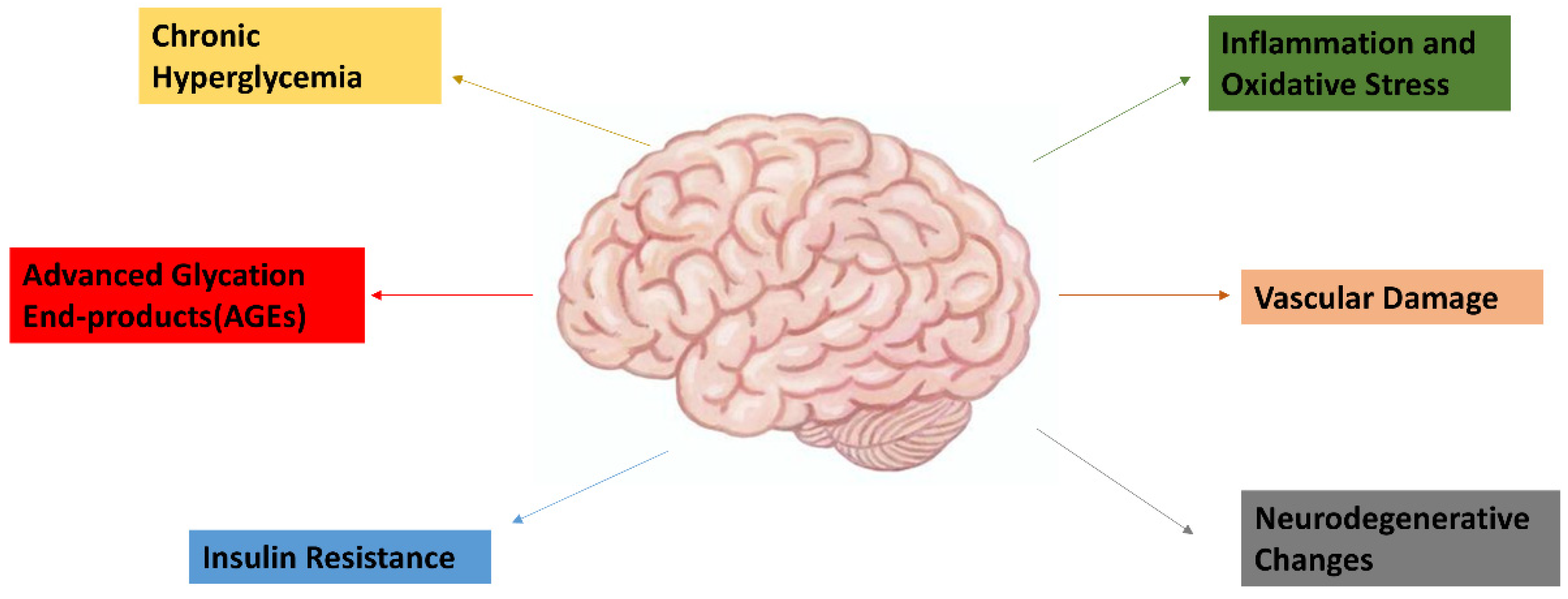 Neurolint 16 00124 g001