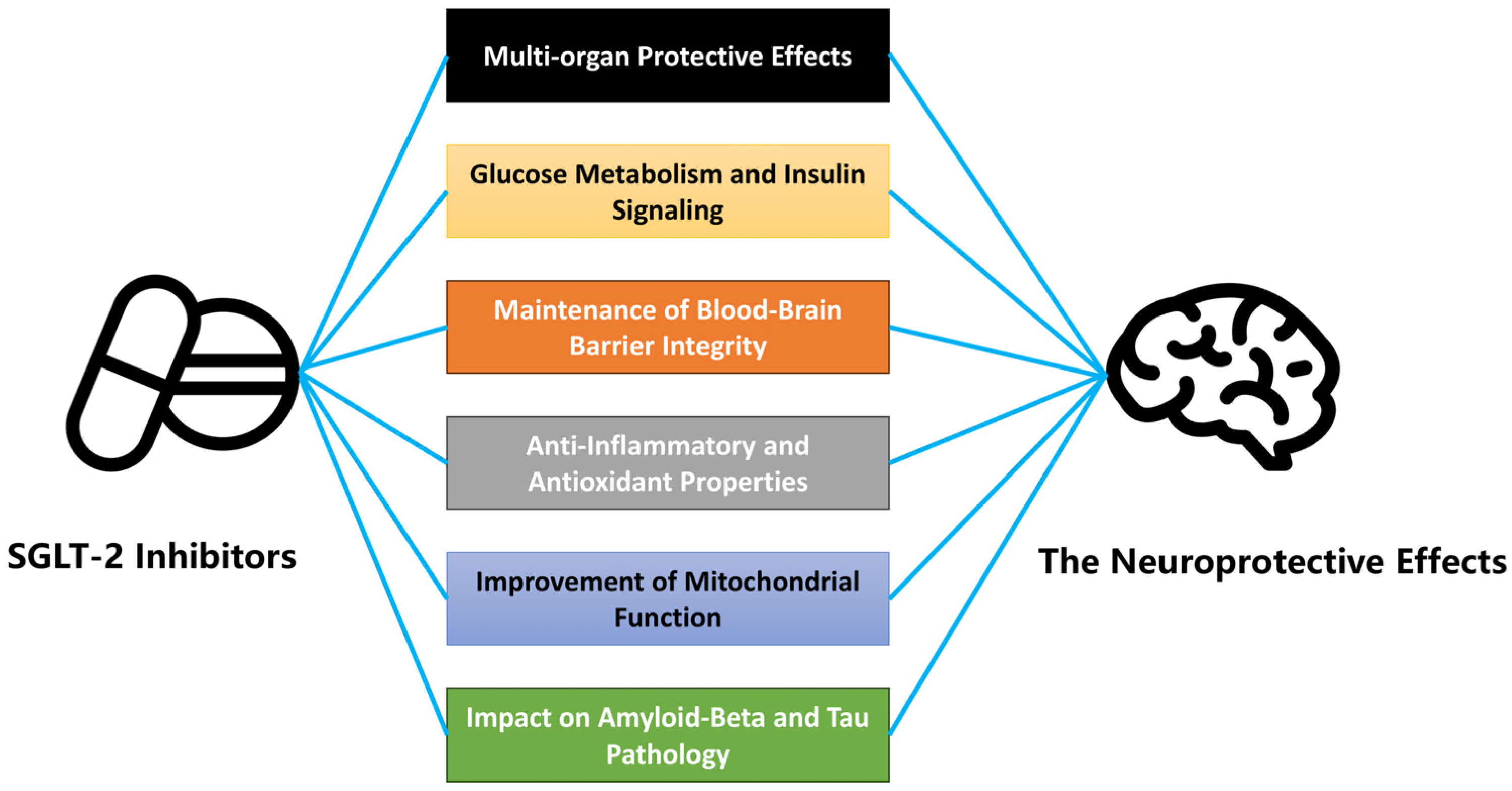 Neurolint 16 00124 g002