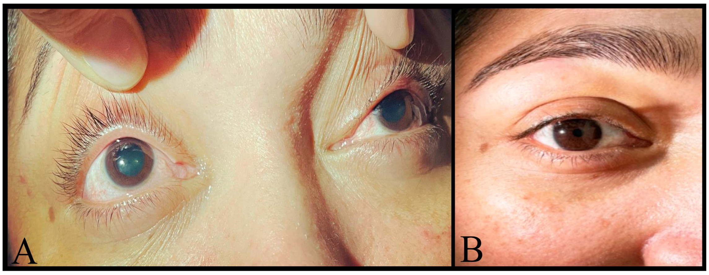 Neurolint 16 00128 g002