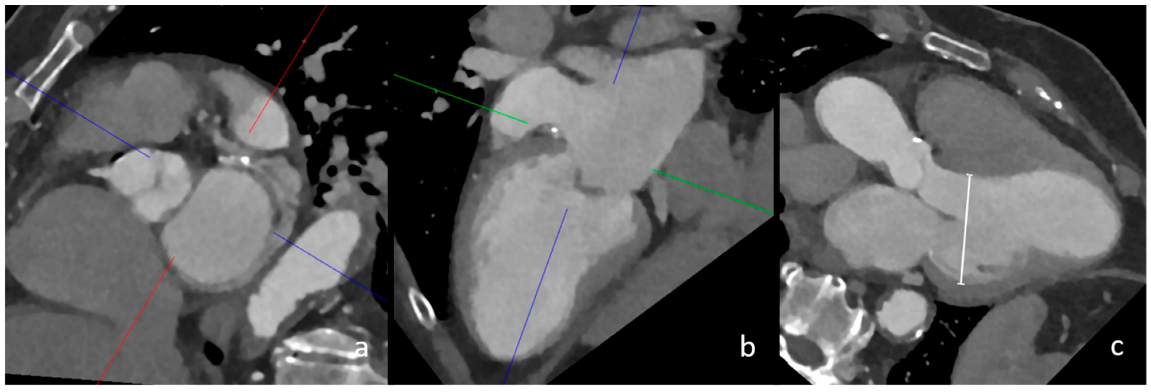 Neurolint 17 00025 g001