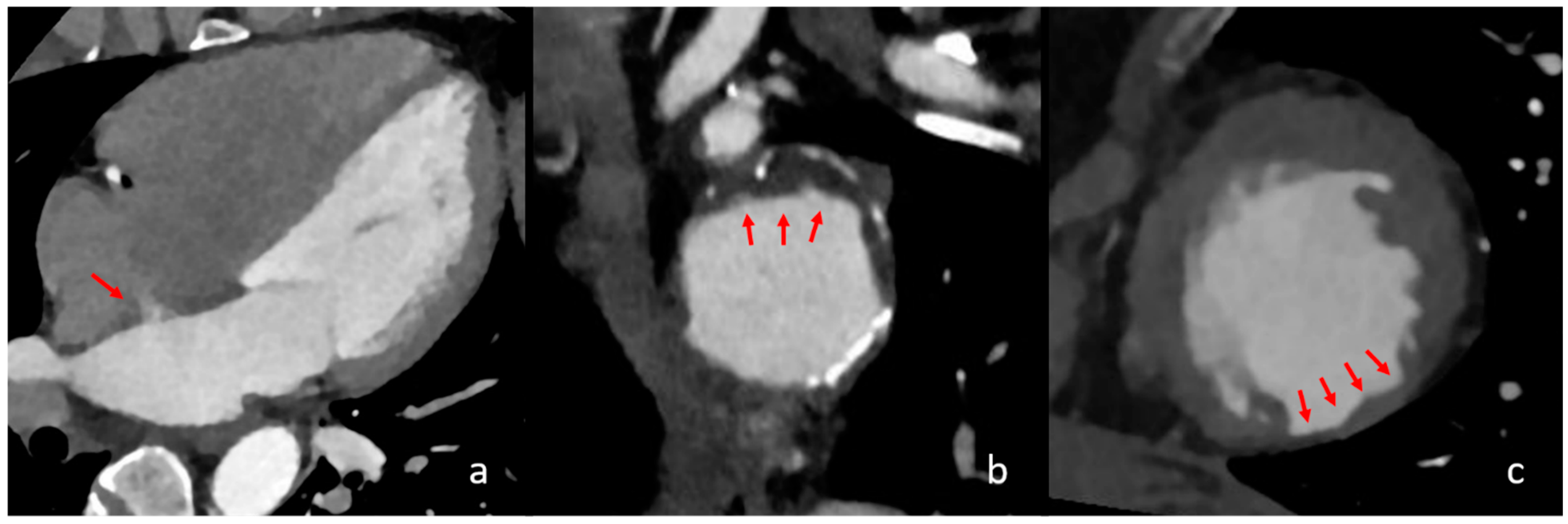 Neurolint 17 00025 g002