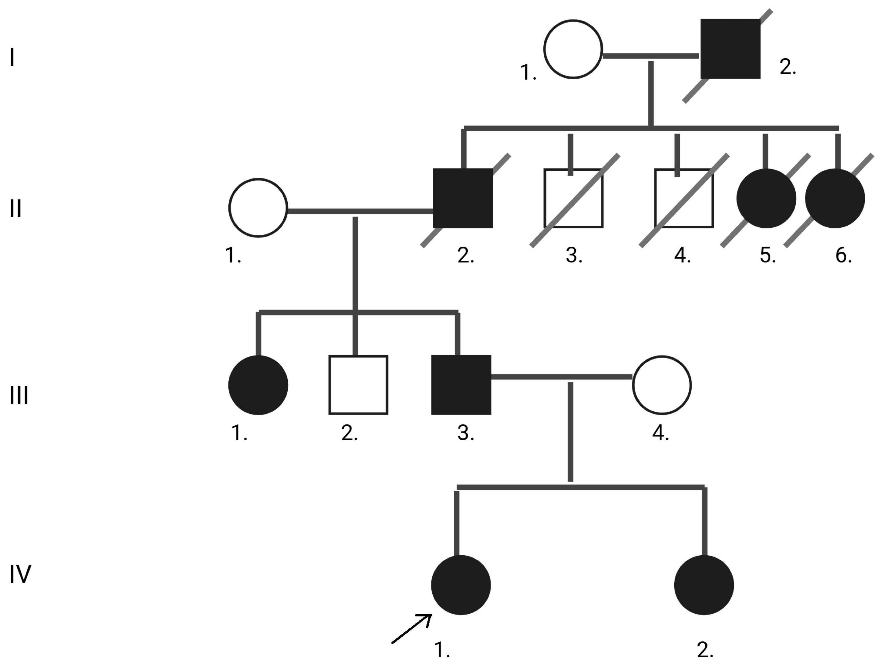 Neurolint 17 00167 g002 Neurolint 17 00167 g002