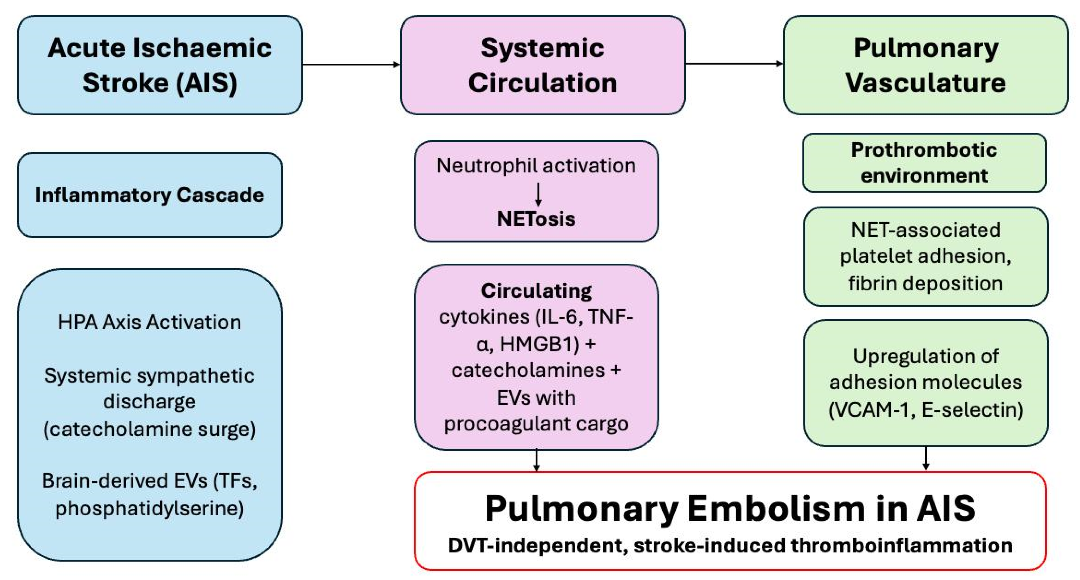 Neurolint 17 00168 g005 Neurolint 17 00168 g005