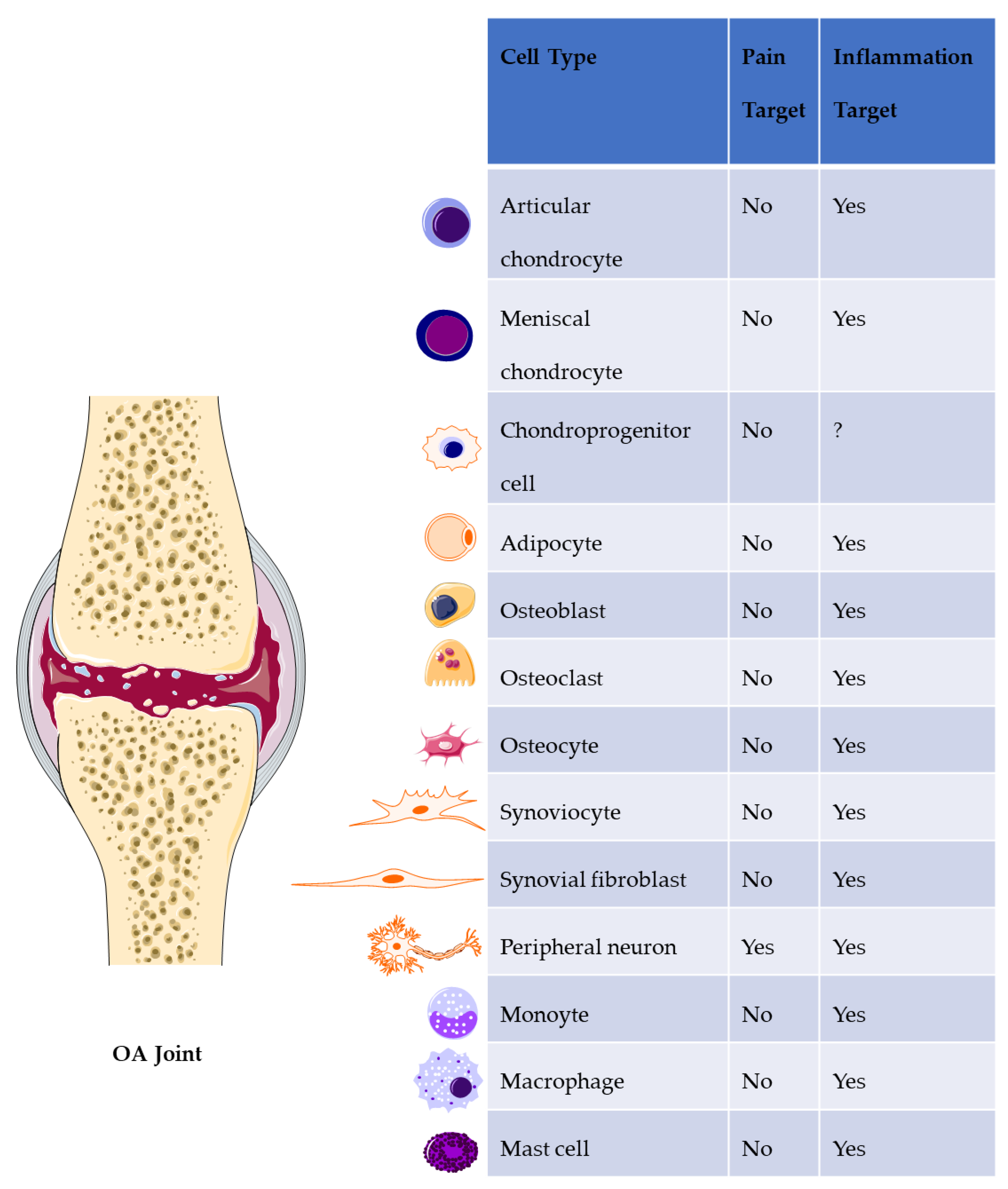 NeuroSci | Free Full-Text | Neuroscience and Neuroimmunology