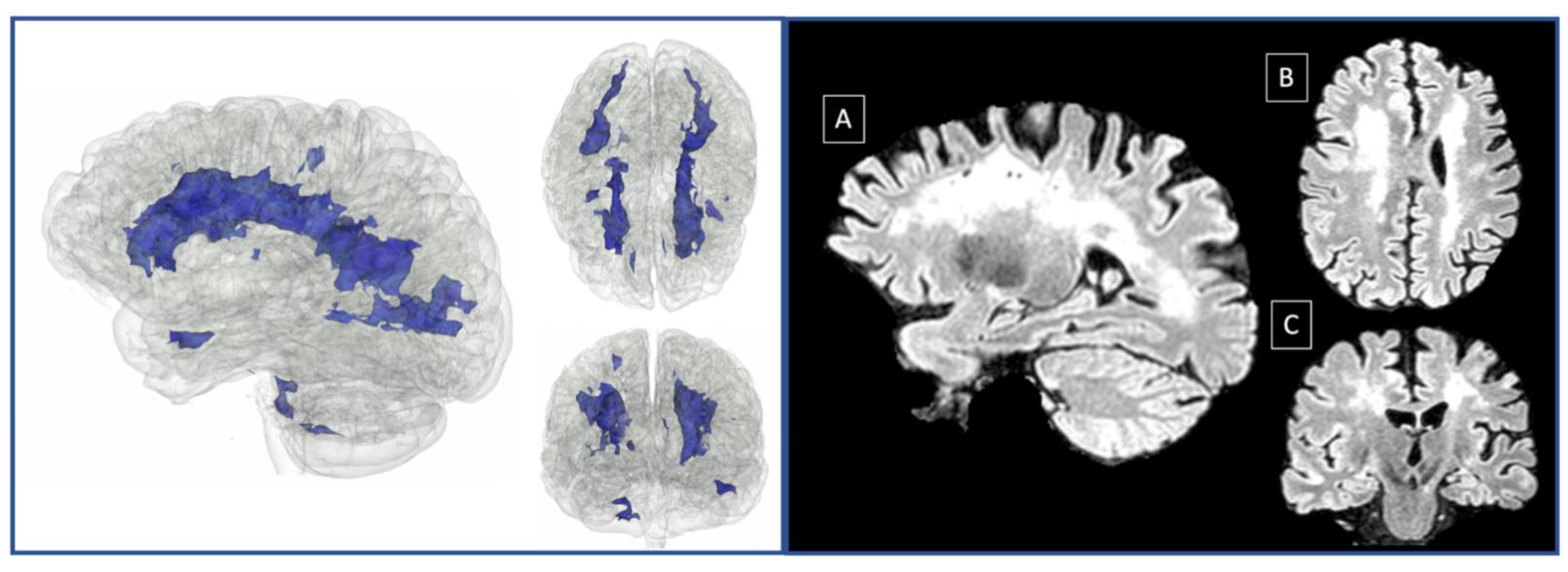 Neurosci 03 00010 g003 Neurosci 03 00010 g003