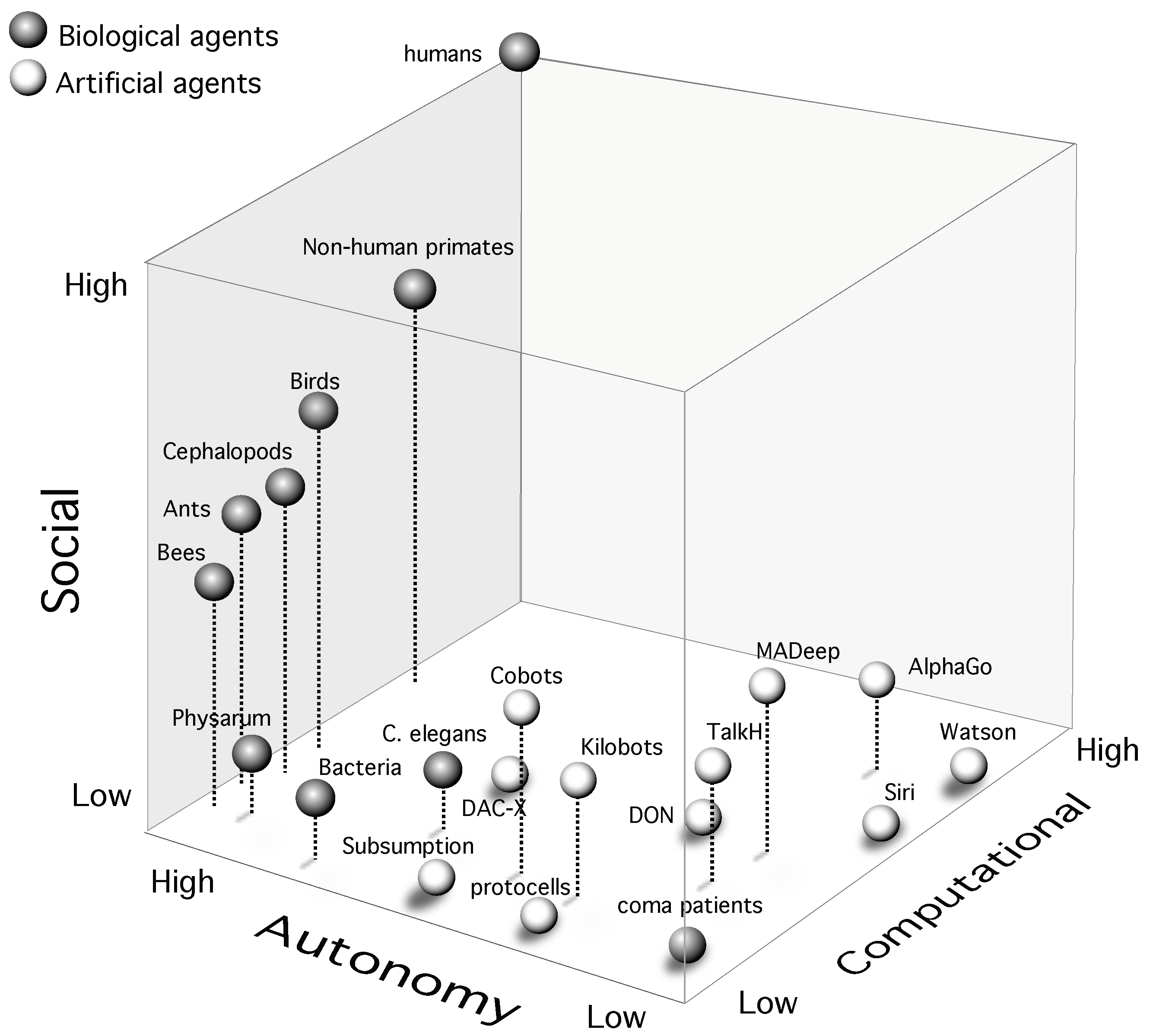 Neurosci 04 00009 g003 Neurosci 04 00009 g003