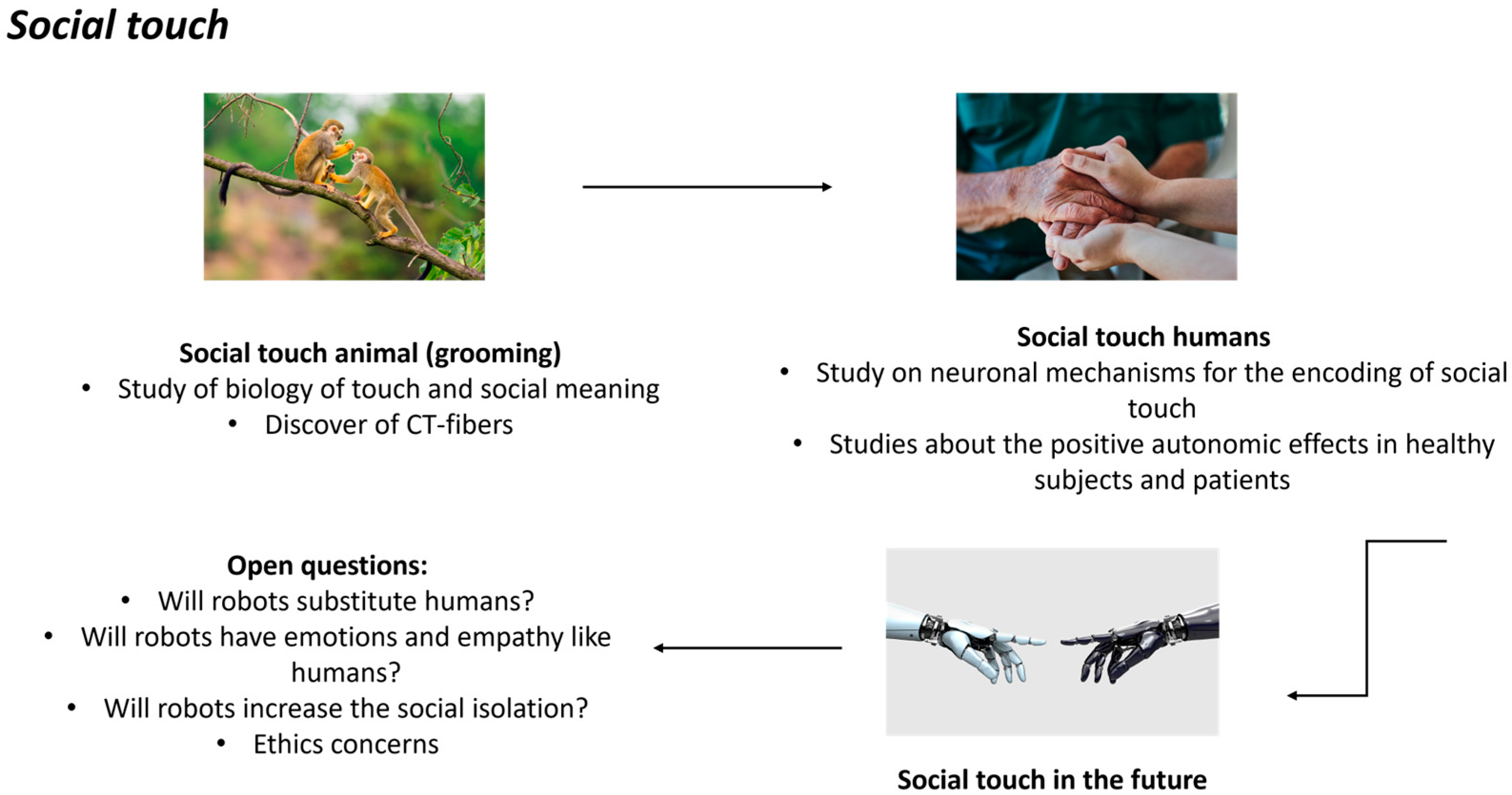 Neurosci 05 00020 g001